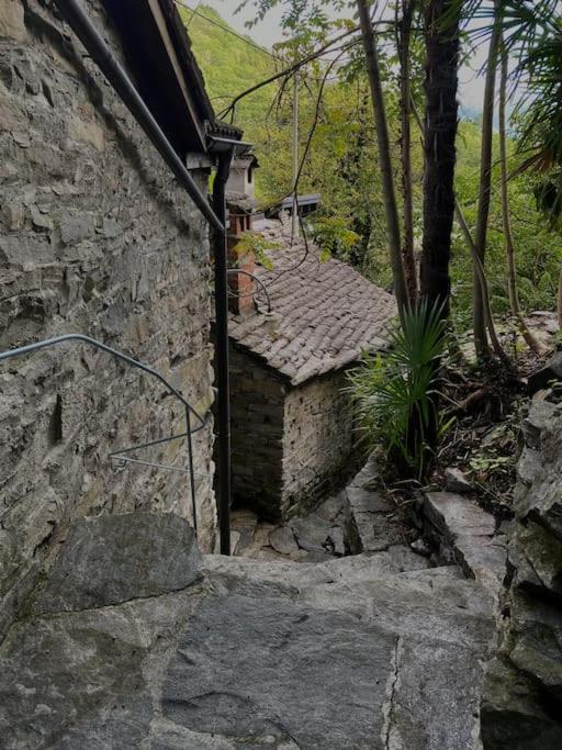 Rustico Leoro
