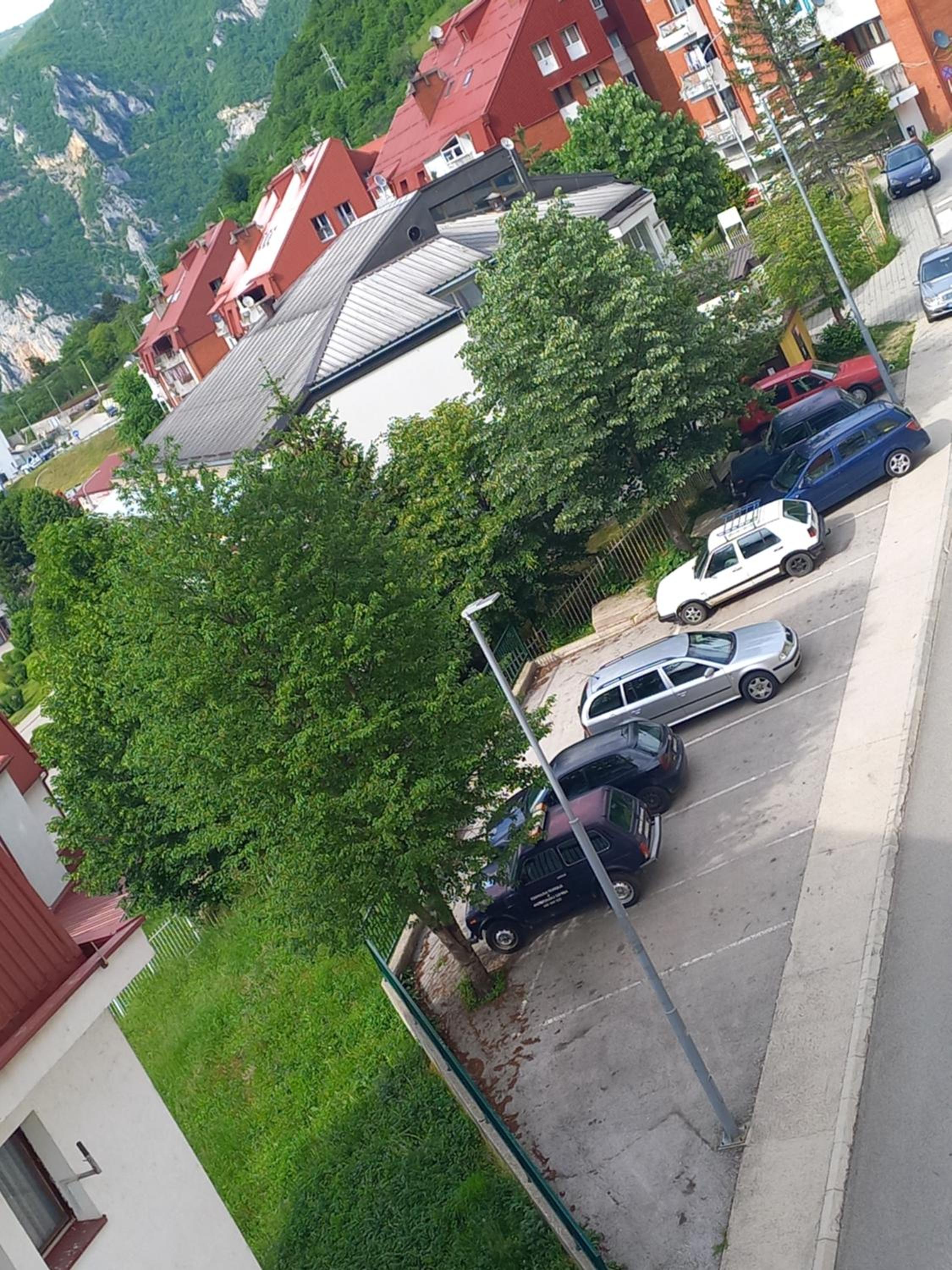 Photo 14