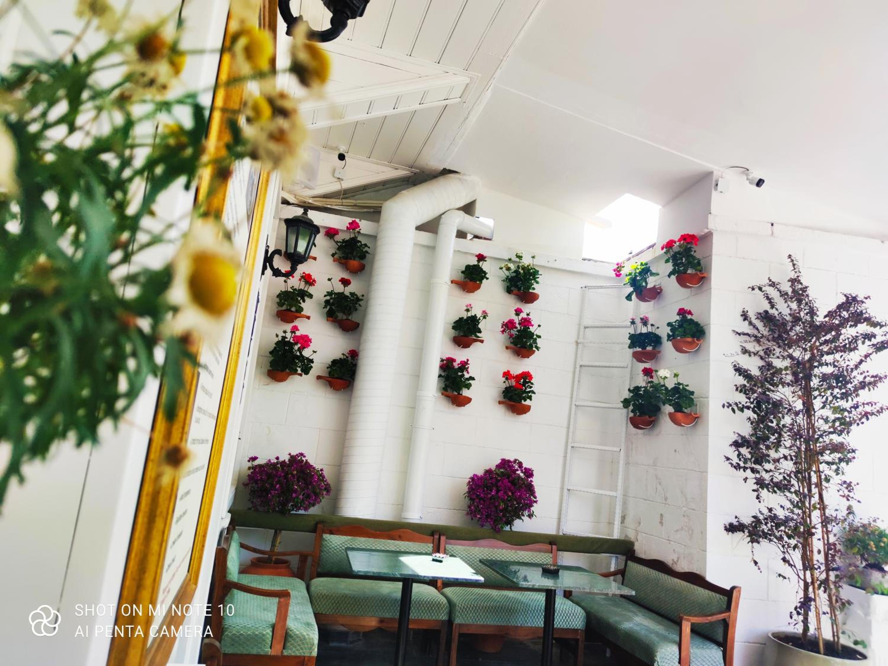 Solomon's Mansion Otel İstanbul - Image 94