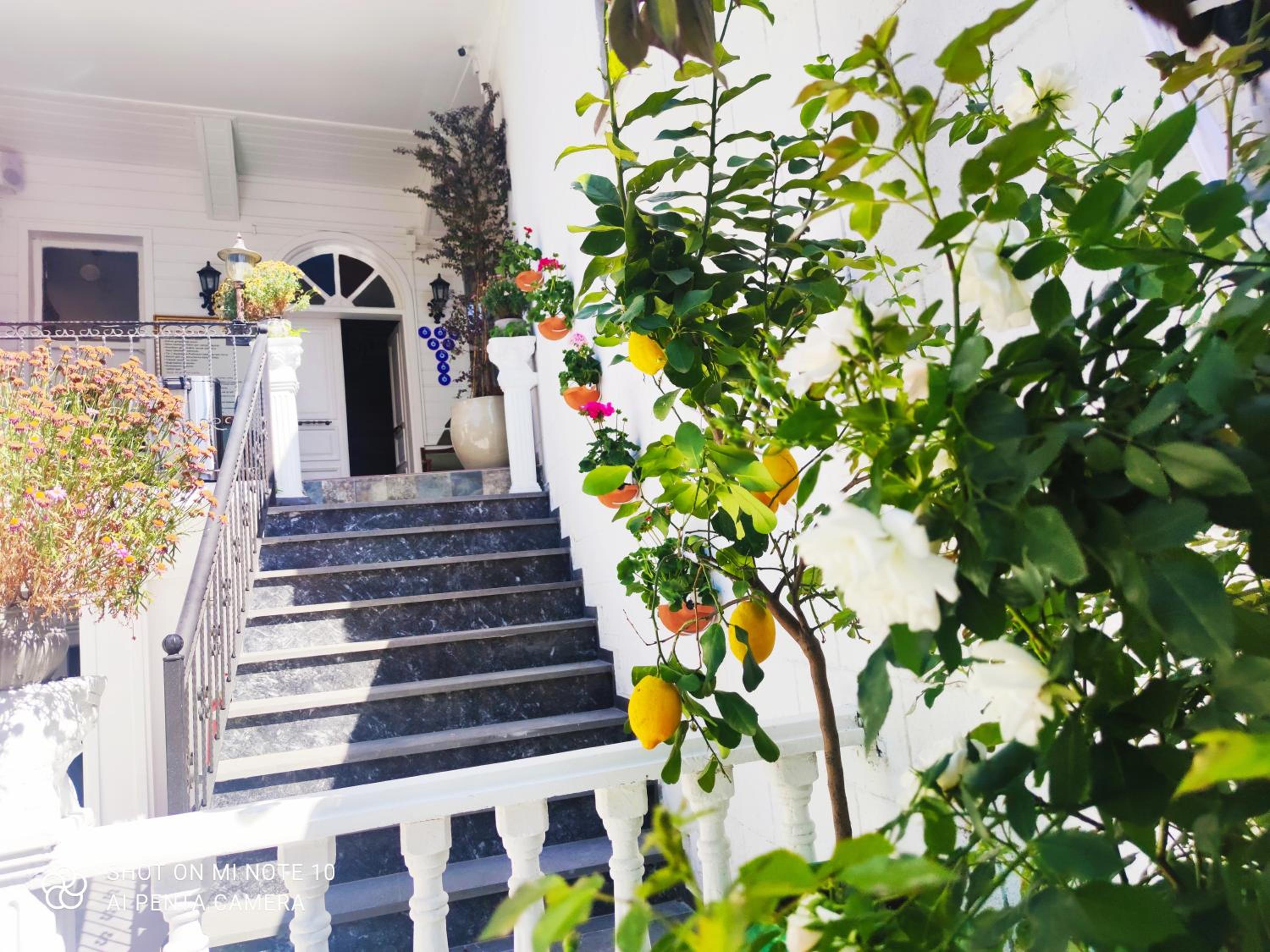 Solomon's Mansion Otel İstanbul - Image 90