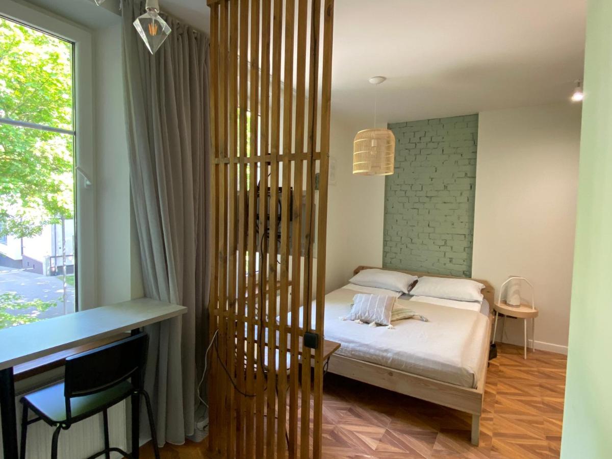 Cozy and bright Šaulių studio in Klaipeda view 5