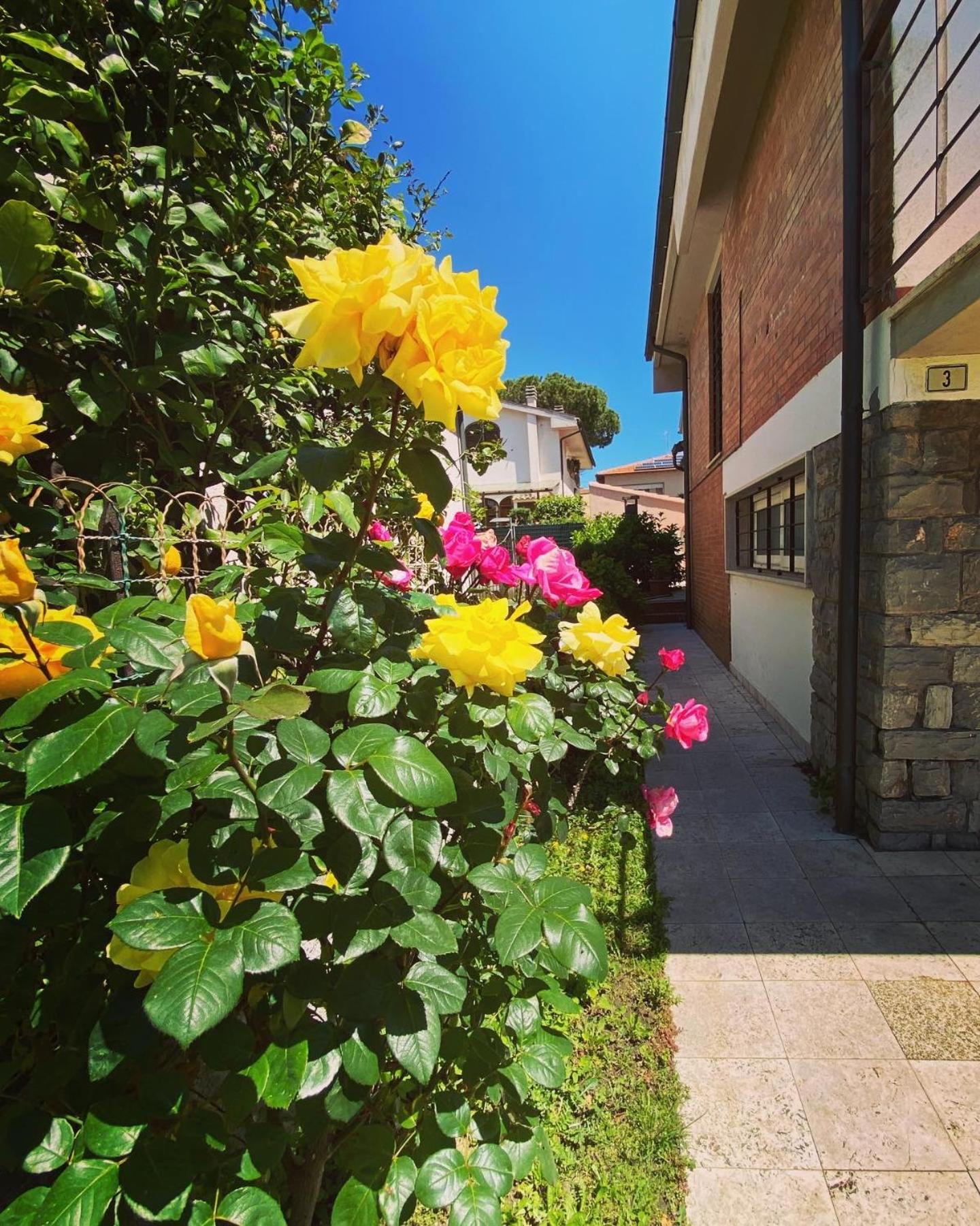 Casa Summer view 2