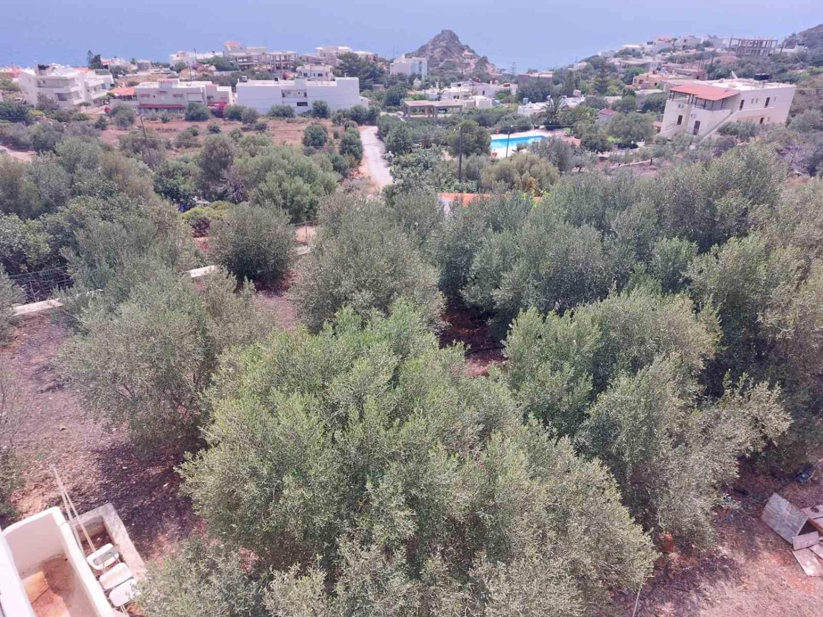 Anthy Villas department 1 view 4