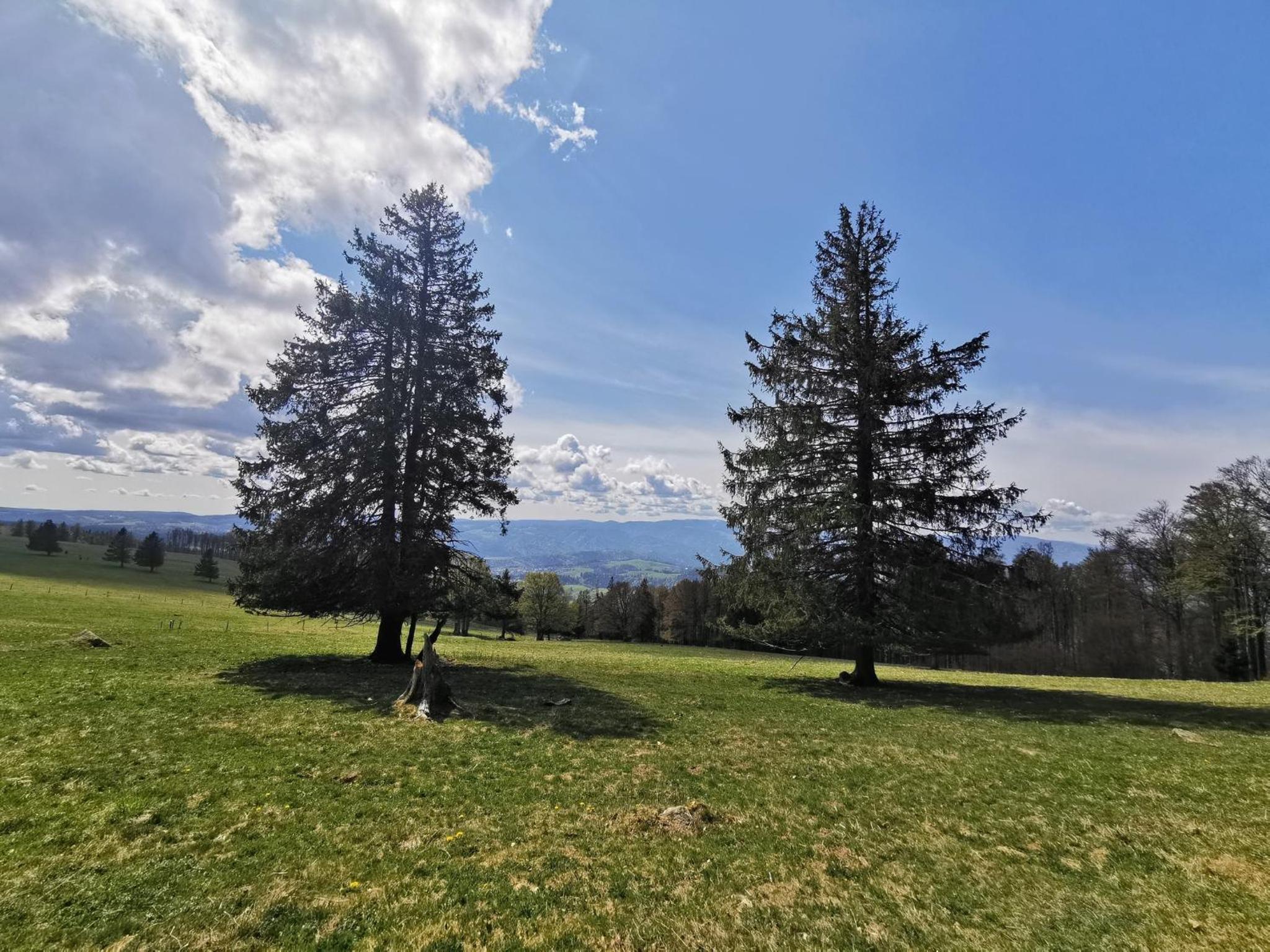 Haus Weitblick - Fewo Herzogenhorn - Bernau, Schwarzwald