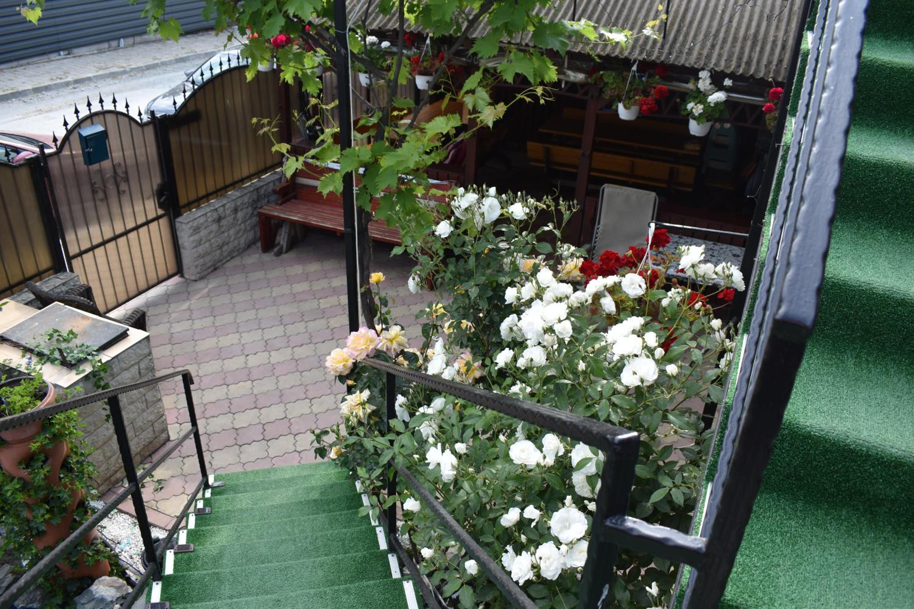 Photo 42