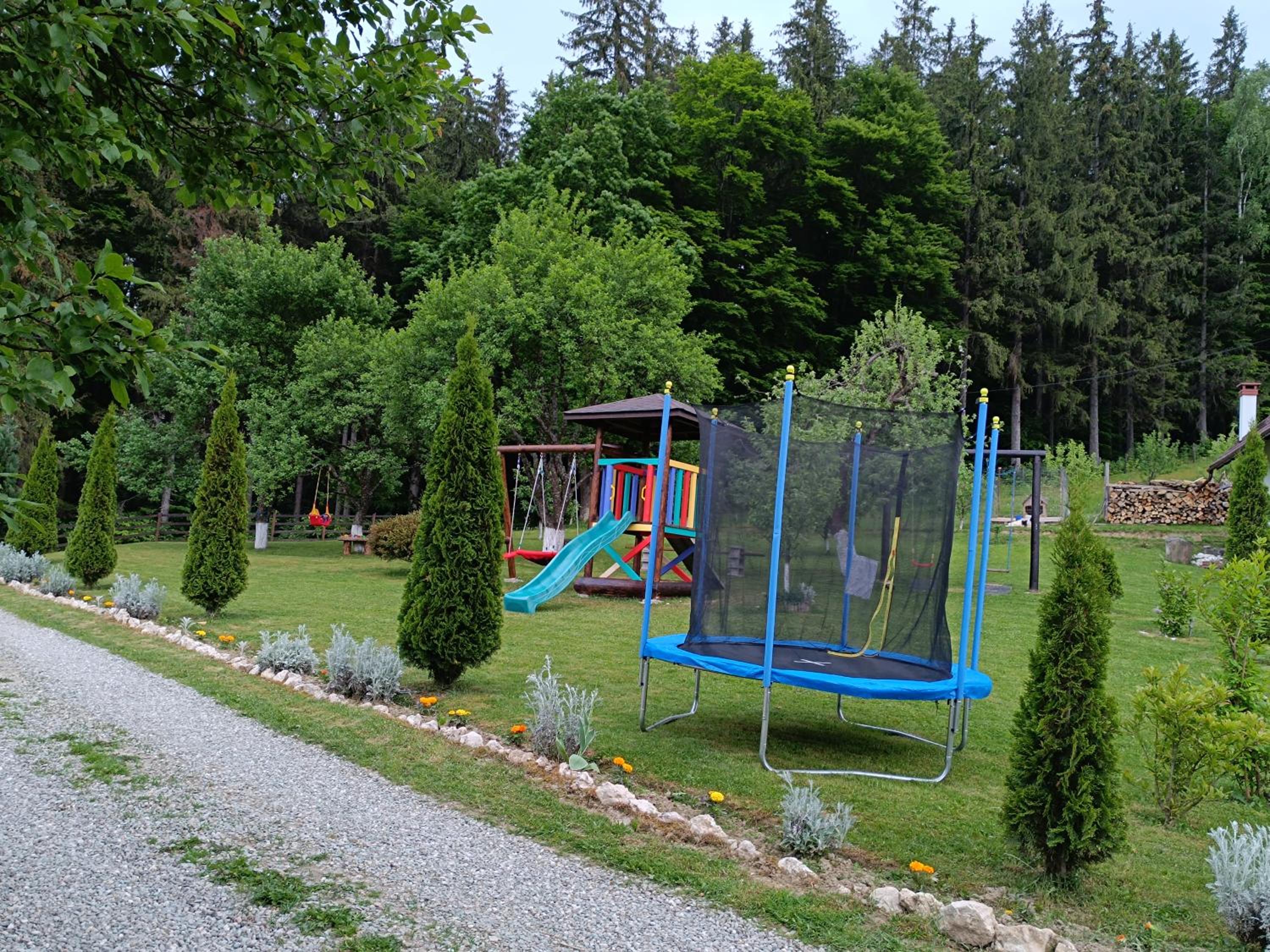 Photo 6