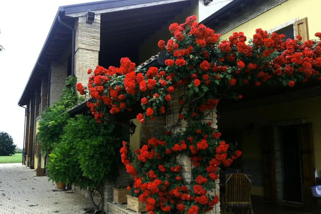 Ardenga Guest House view 5