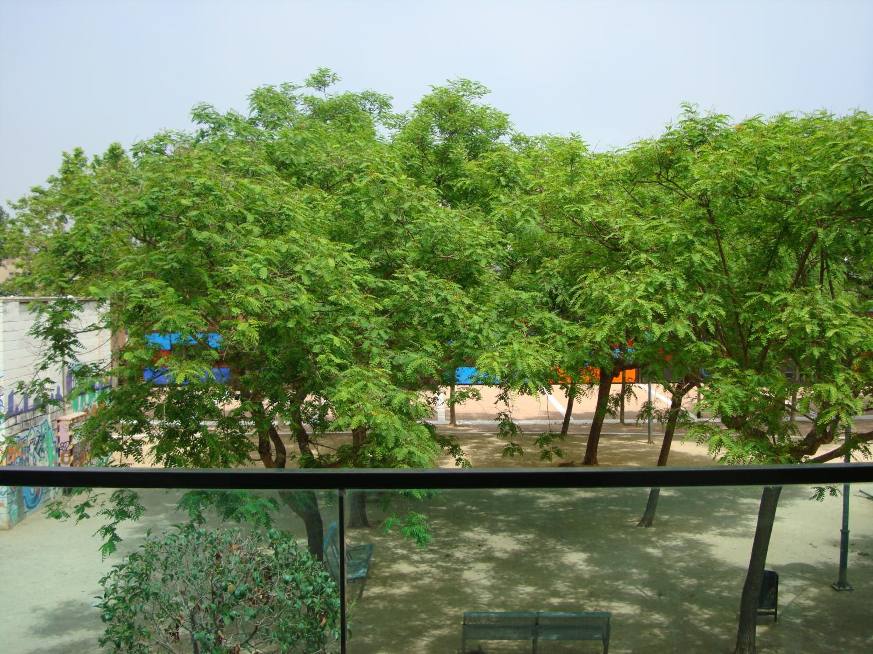 Palamós Apartamentos view 4