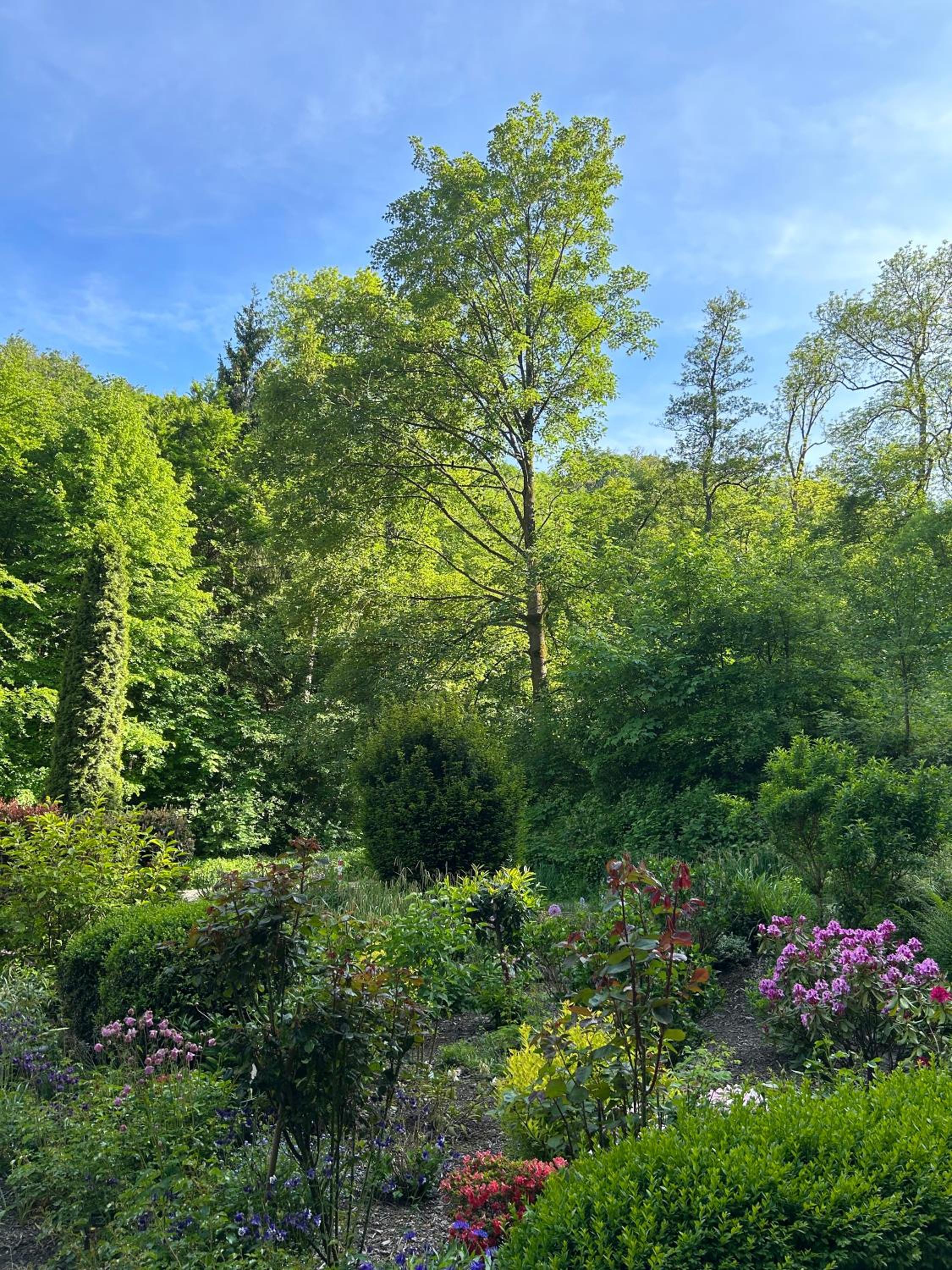 Wald-Idyll: Urlaub im Grünen