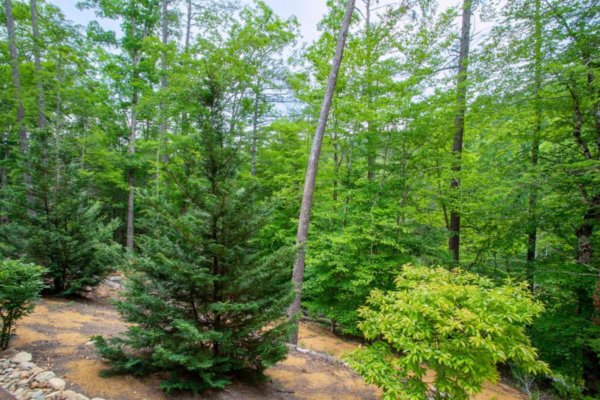 The Peaceful Perch Fireplace Community Amenities