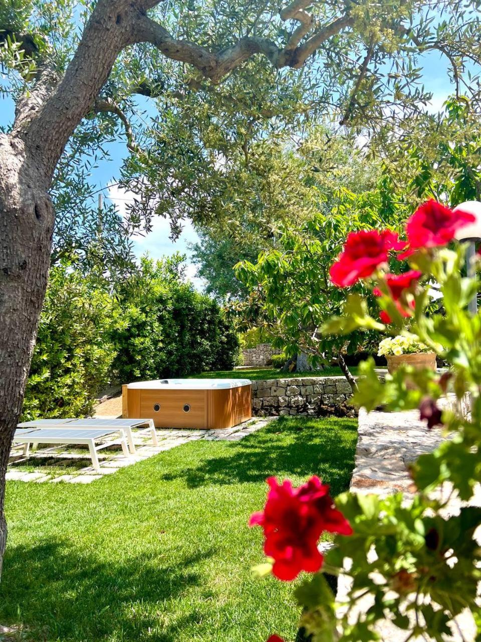 Il Giardino degli Ulivi view 3