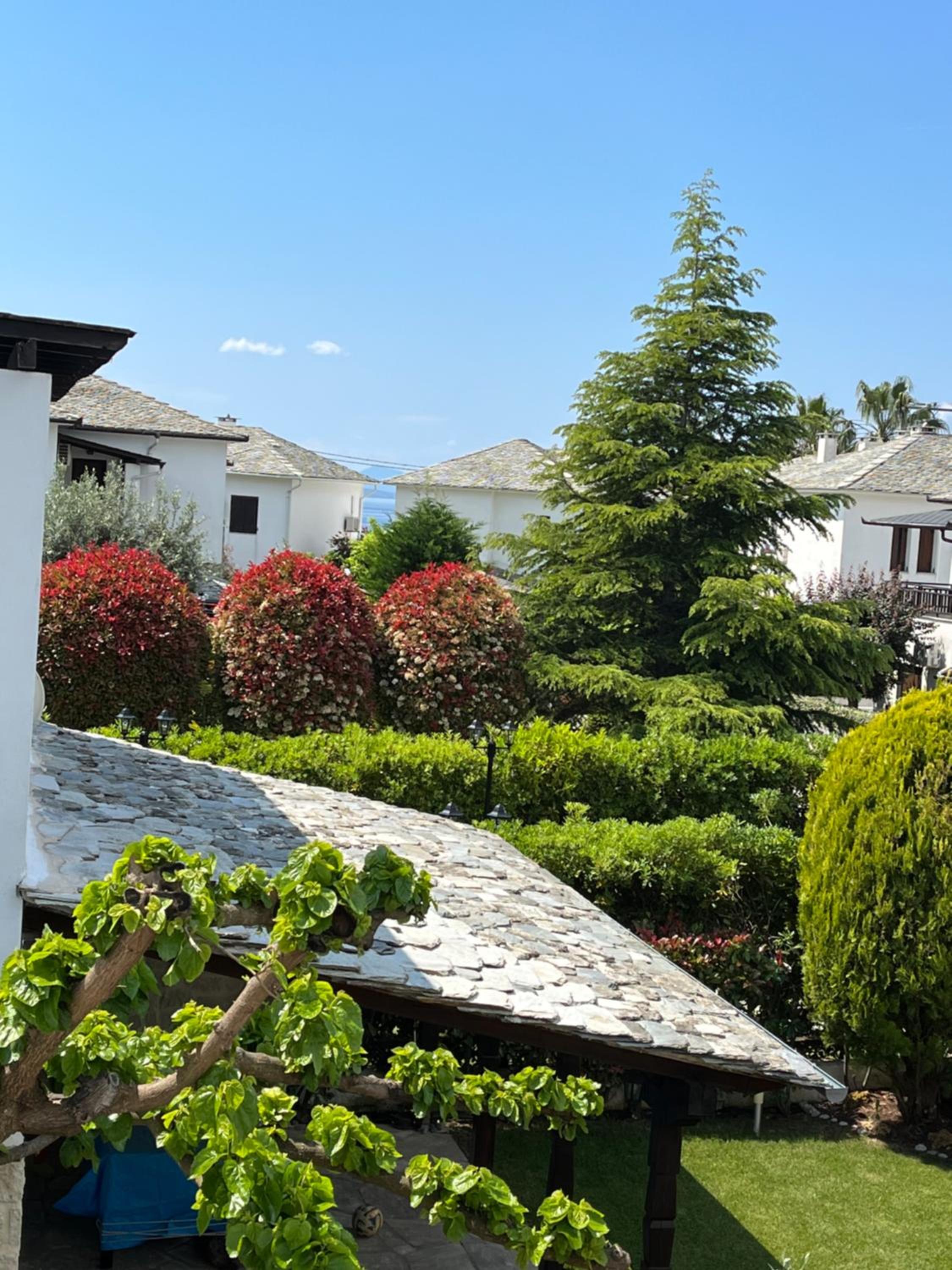 BLUE DREAM Koropi Pelion Milies South Pelion view 2