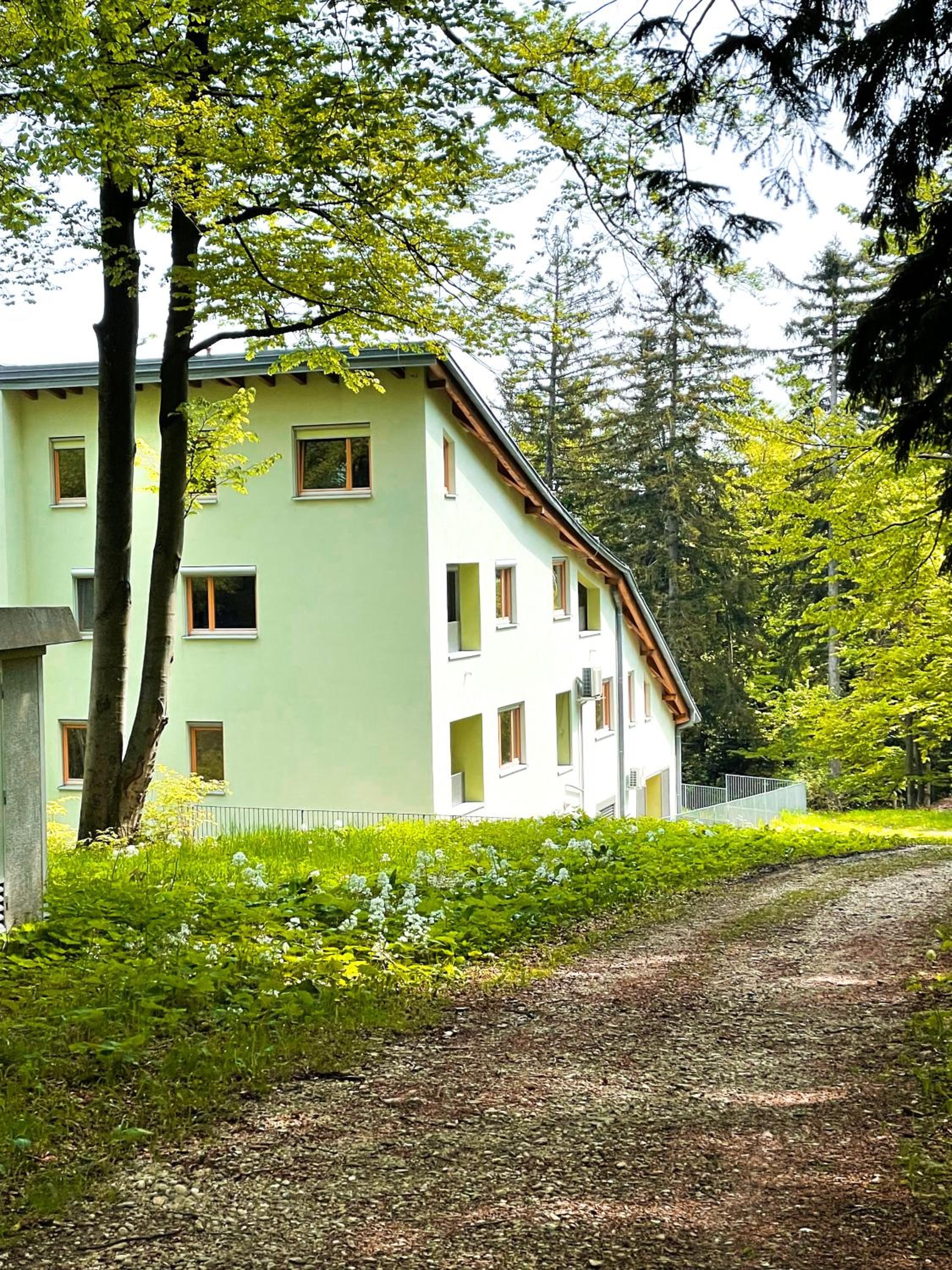 Apartma Pohorske terase Brumen Mariborsko Pohorje