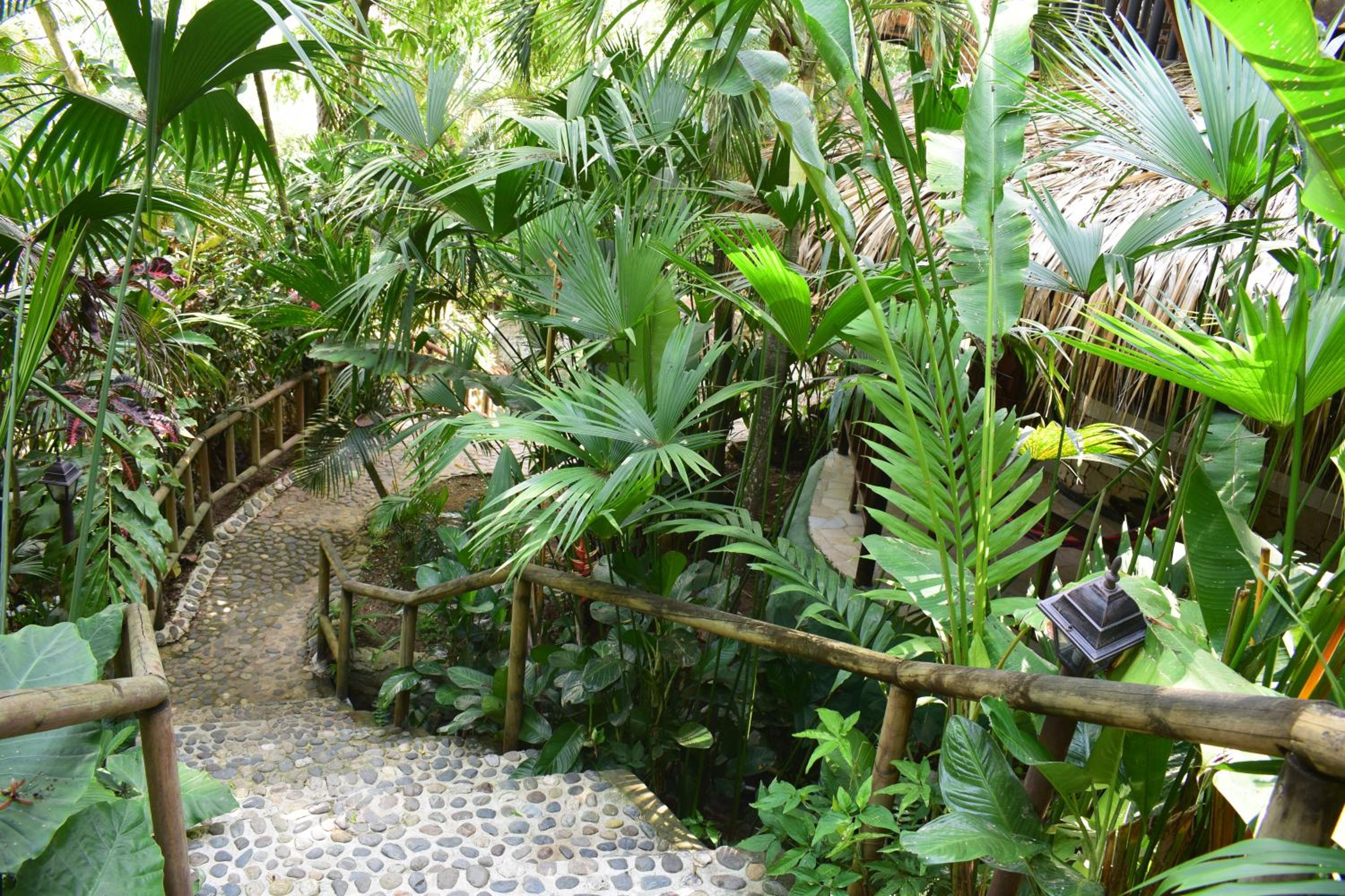 EcoHostal Rio Piedra