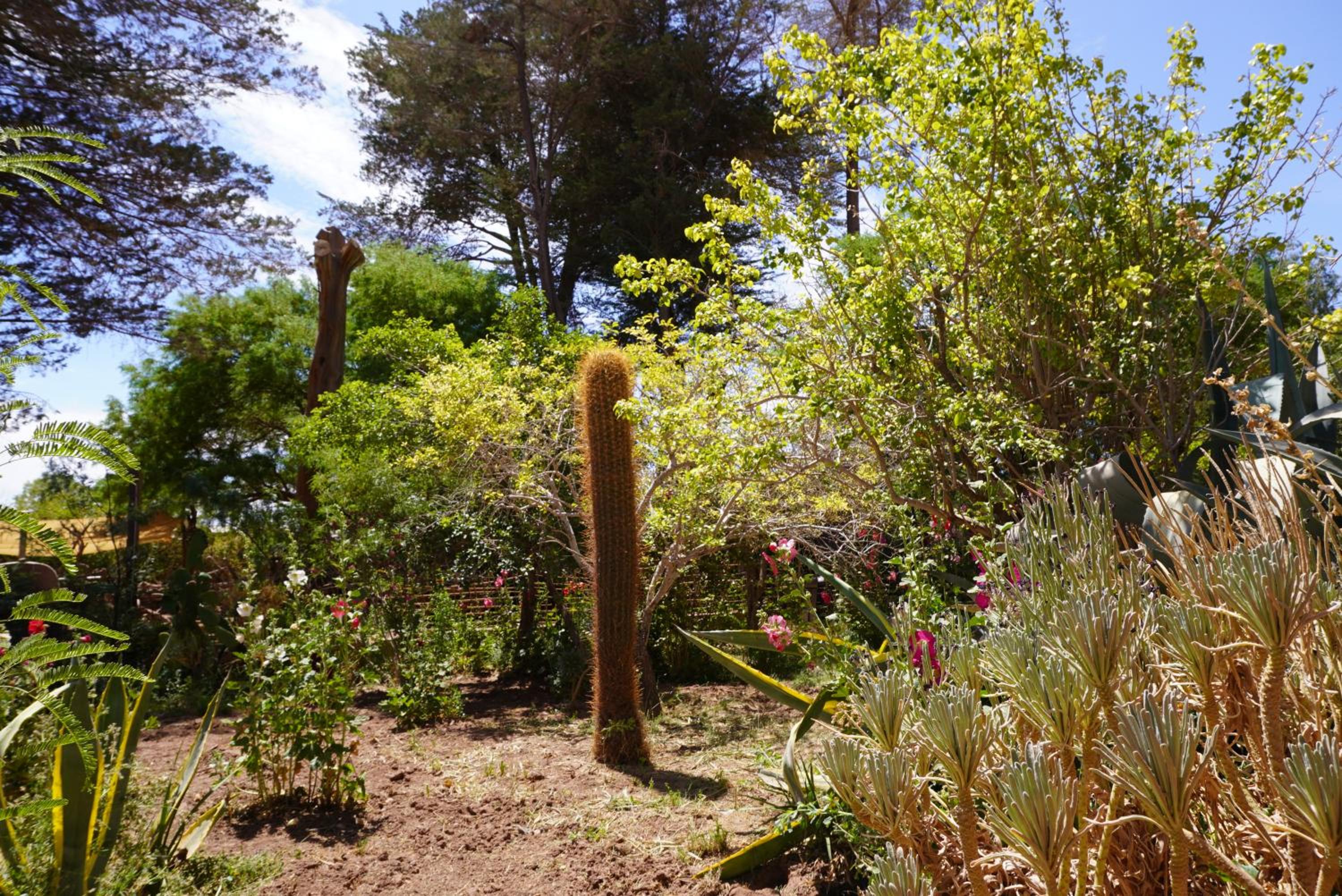 Hotel-Camping Takha Takha