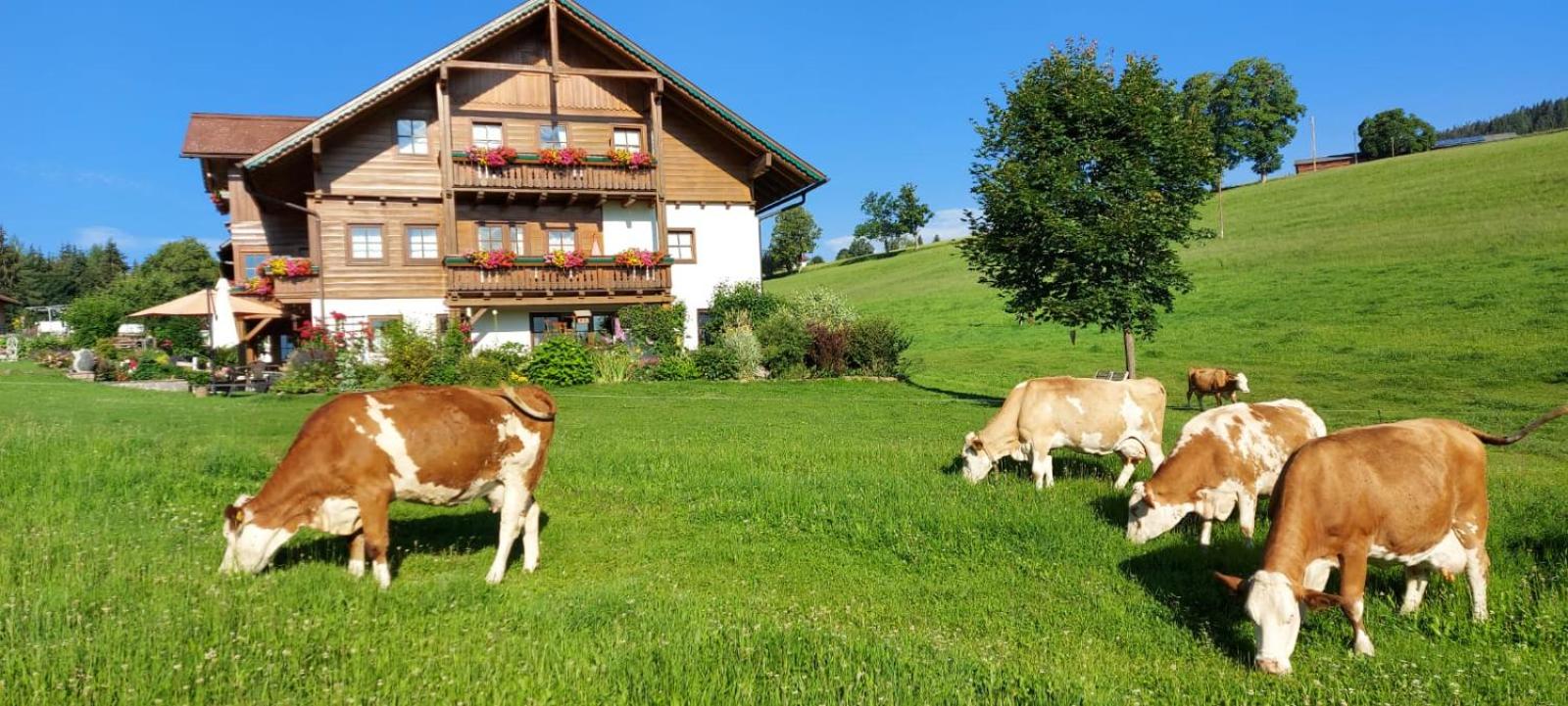 Biobauernhof Brandlhof