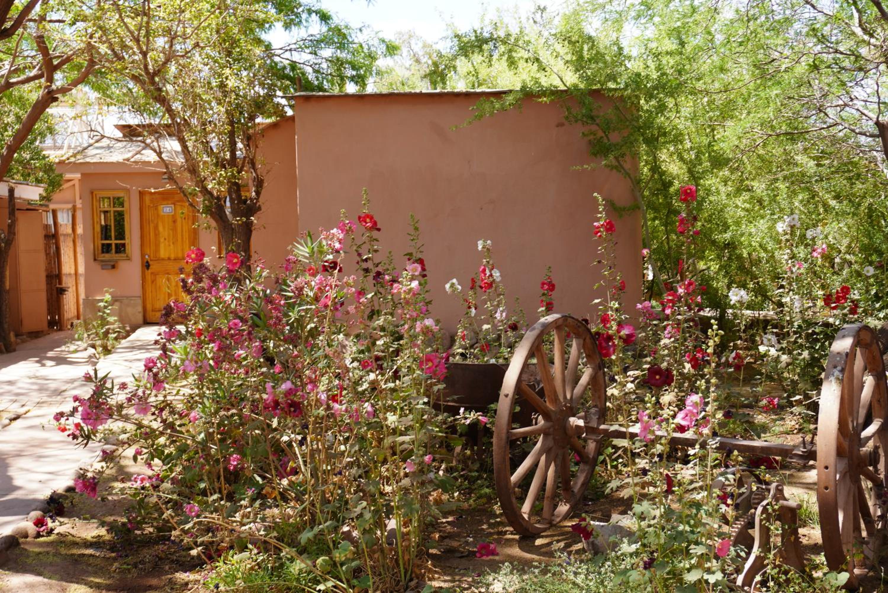 Hotel-Camping Takha Takha