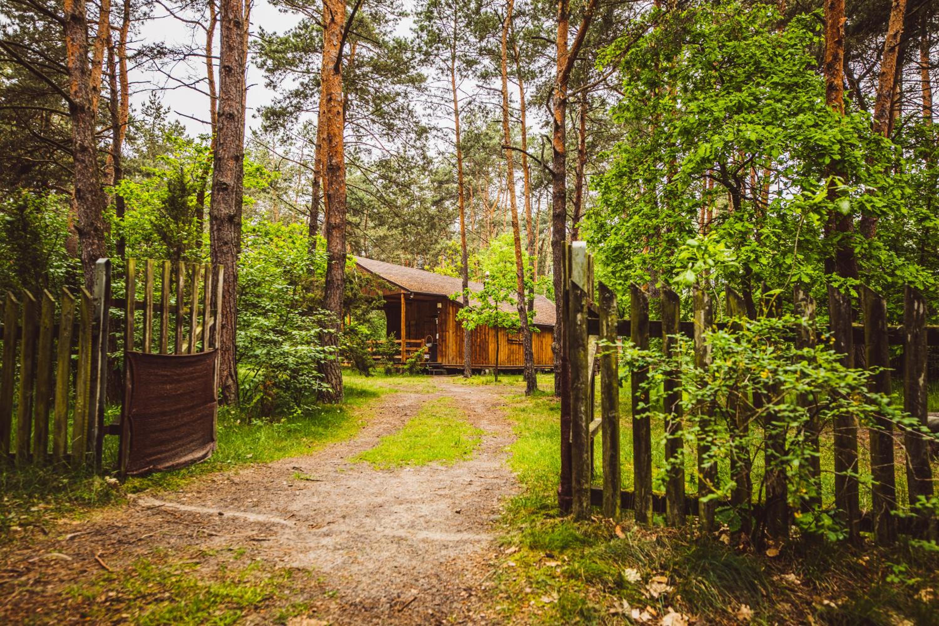 Autumn Nature Cottage Stove Garden by PolandBnB