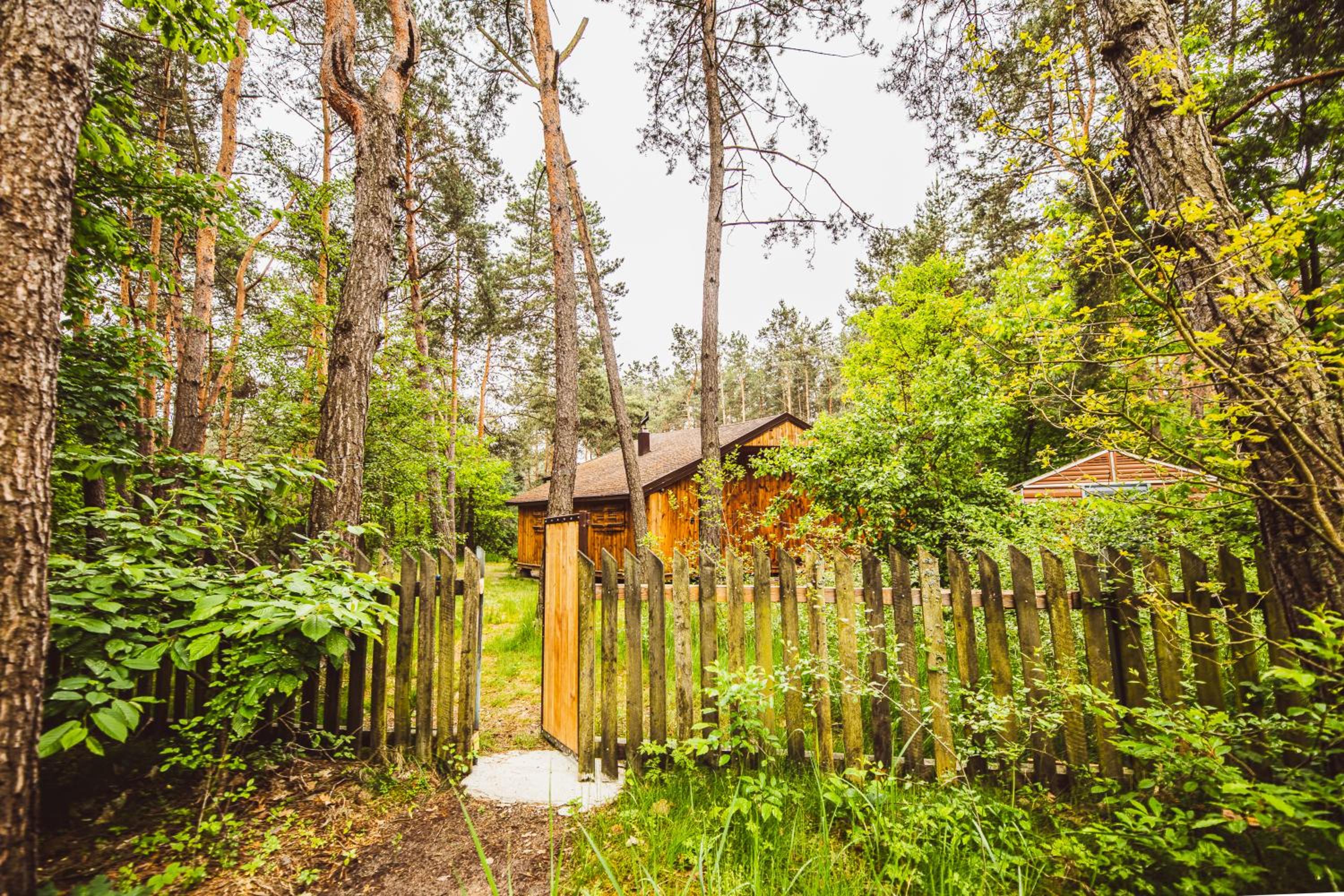 Autumn Nature Cottage Stove Garden by PolandBnB