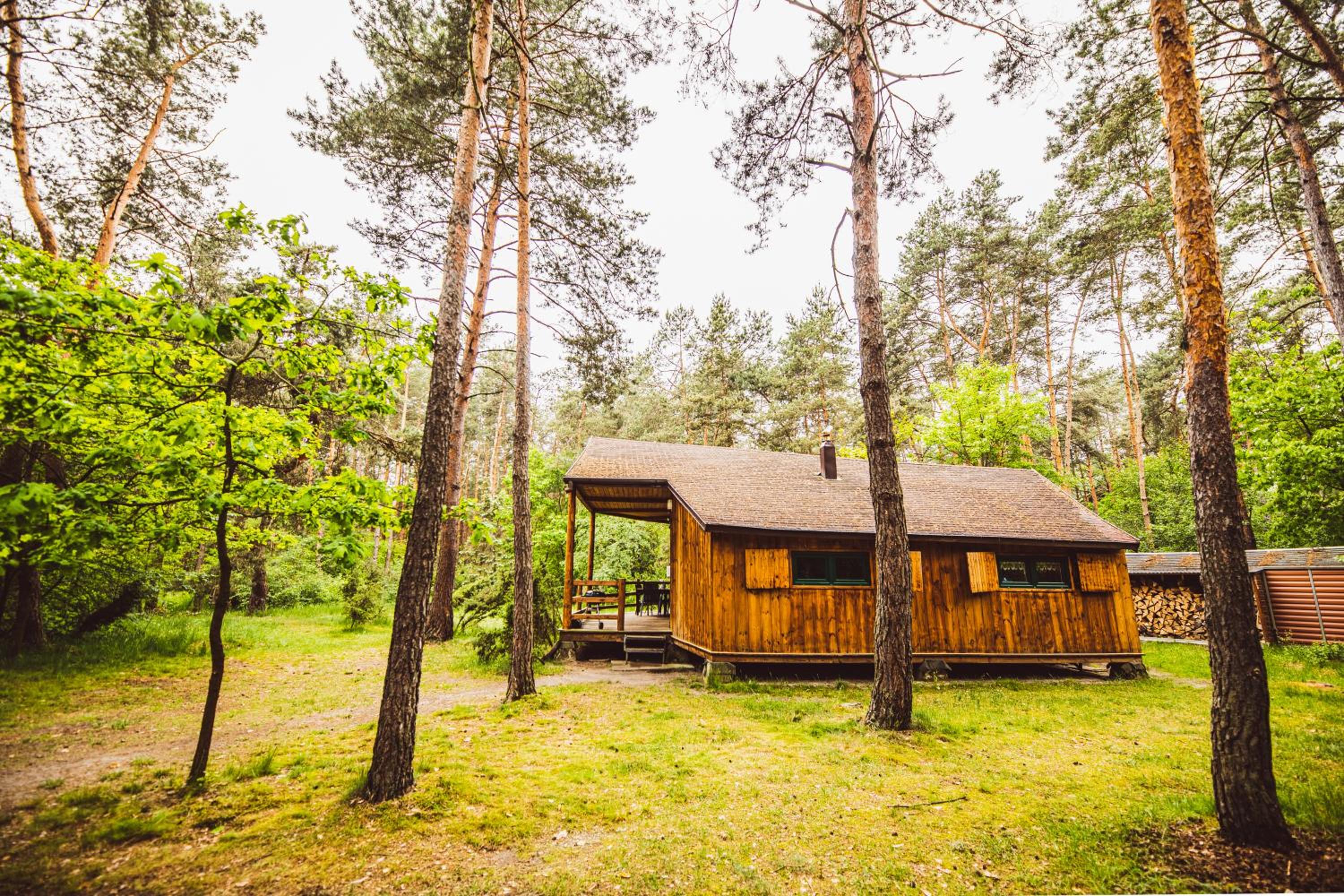 Autumn Nature Cottage Stove Garden by PolandBnB