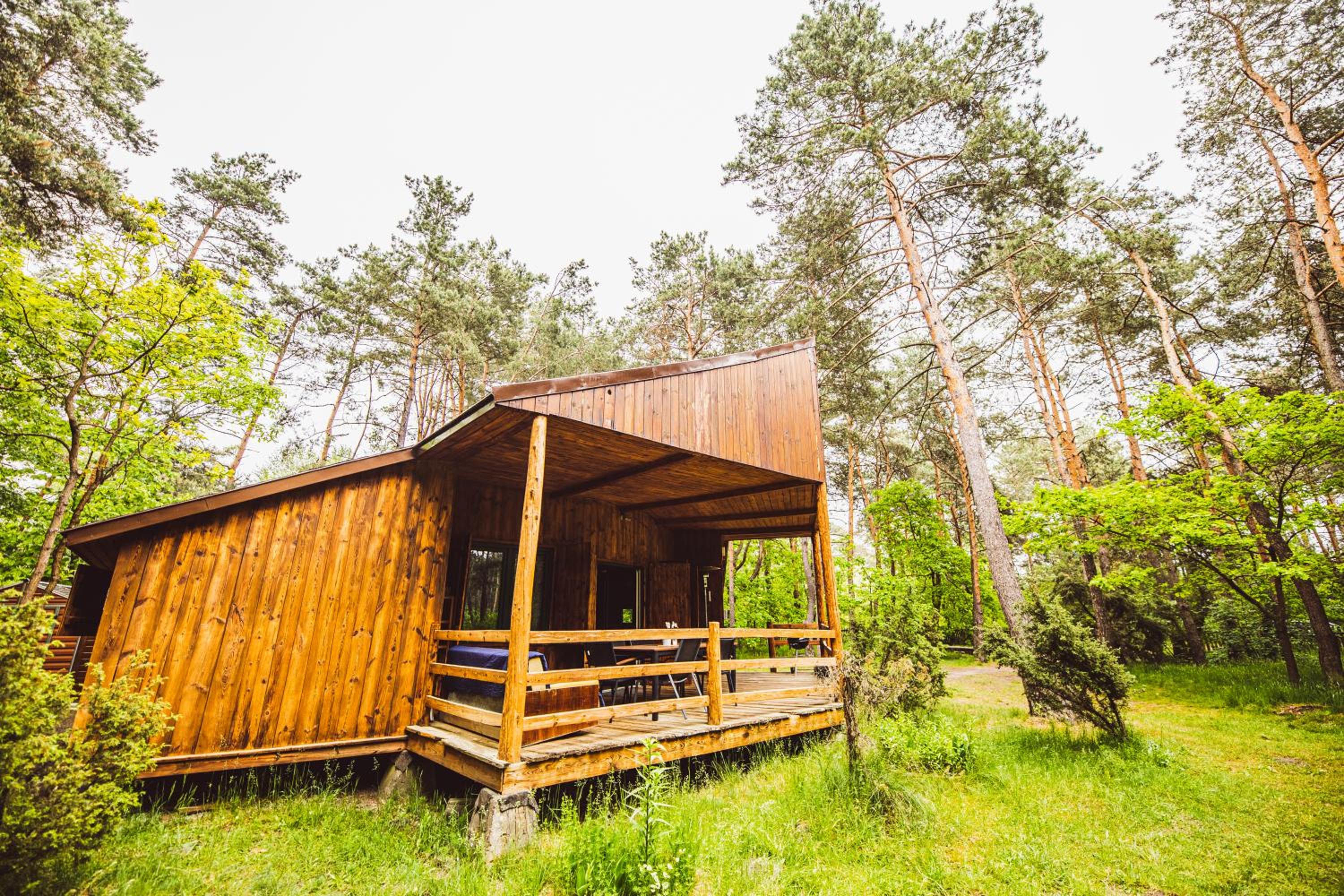 Autumn Nature Cottage Stove Garden by PolandBnB