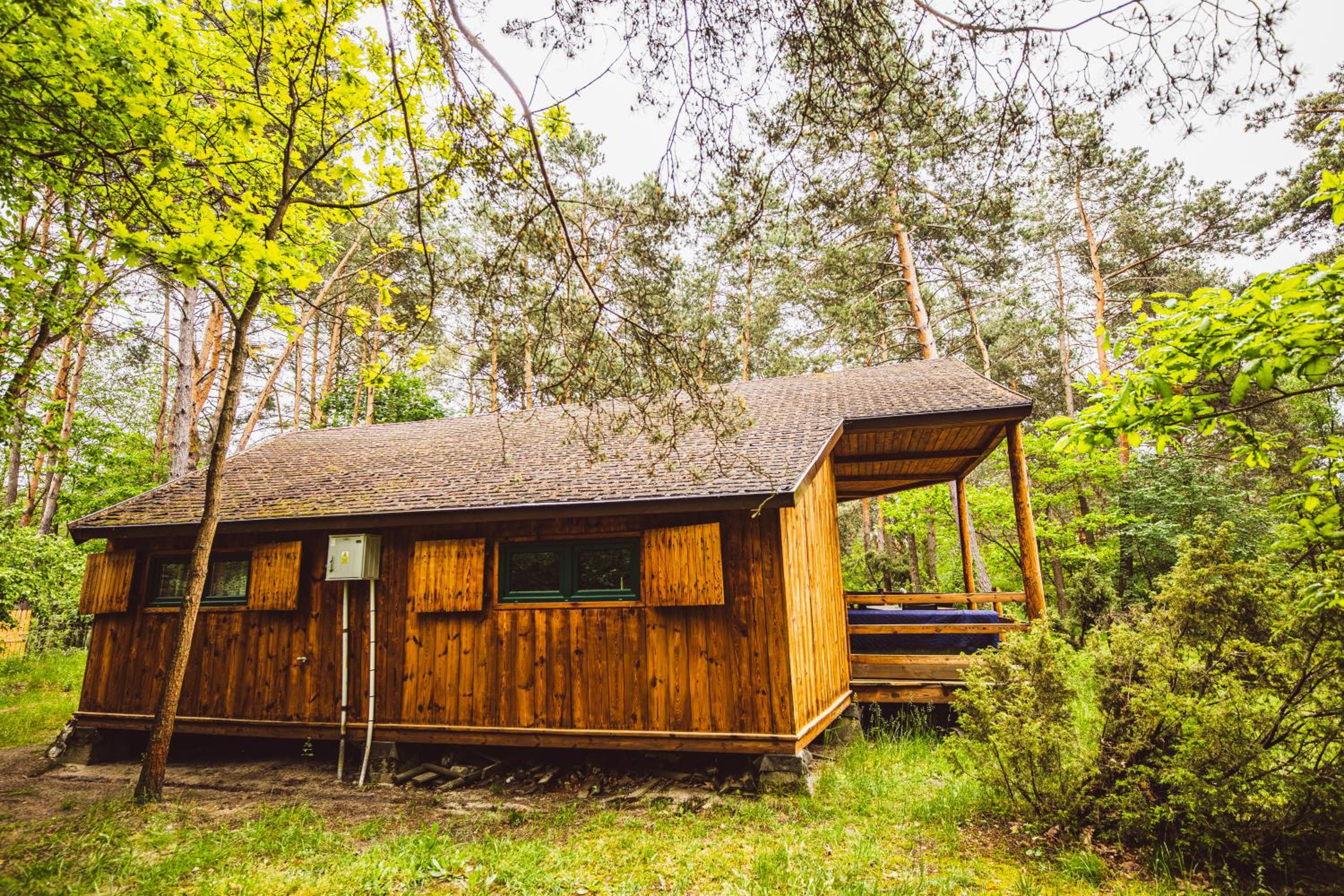 Autumn Nature Cottage Stove Garden by PolandBnB