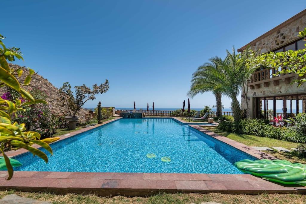 Photo 41