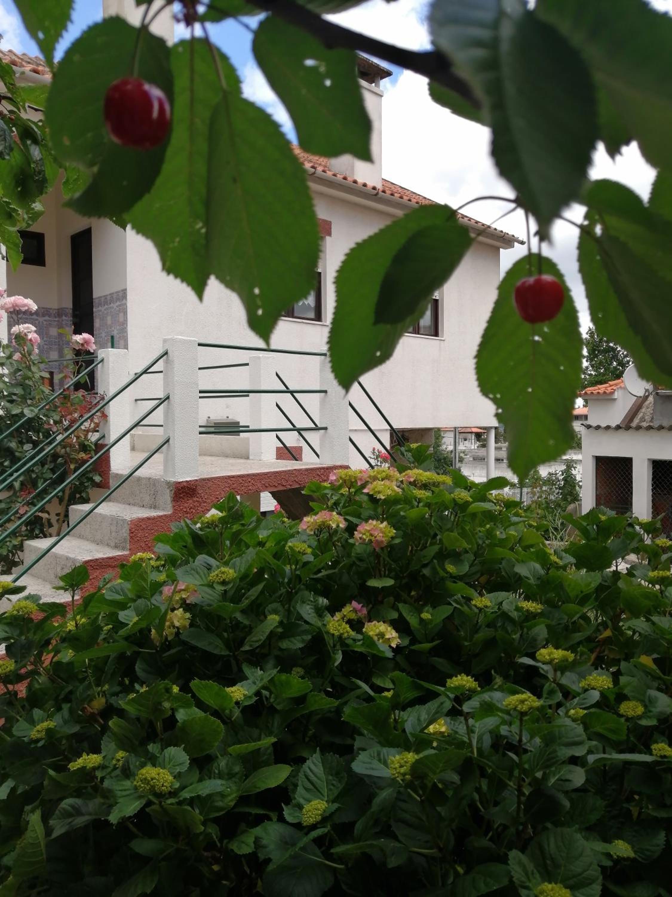 Casa do César Douro Guest House view 3