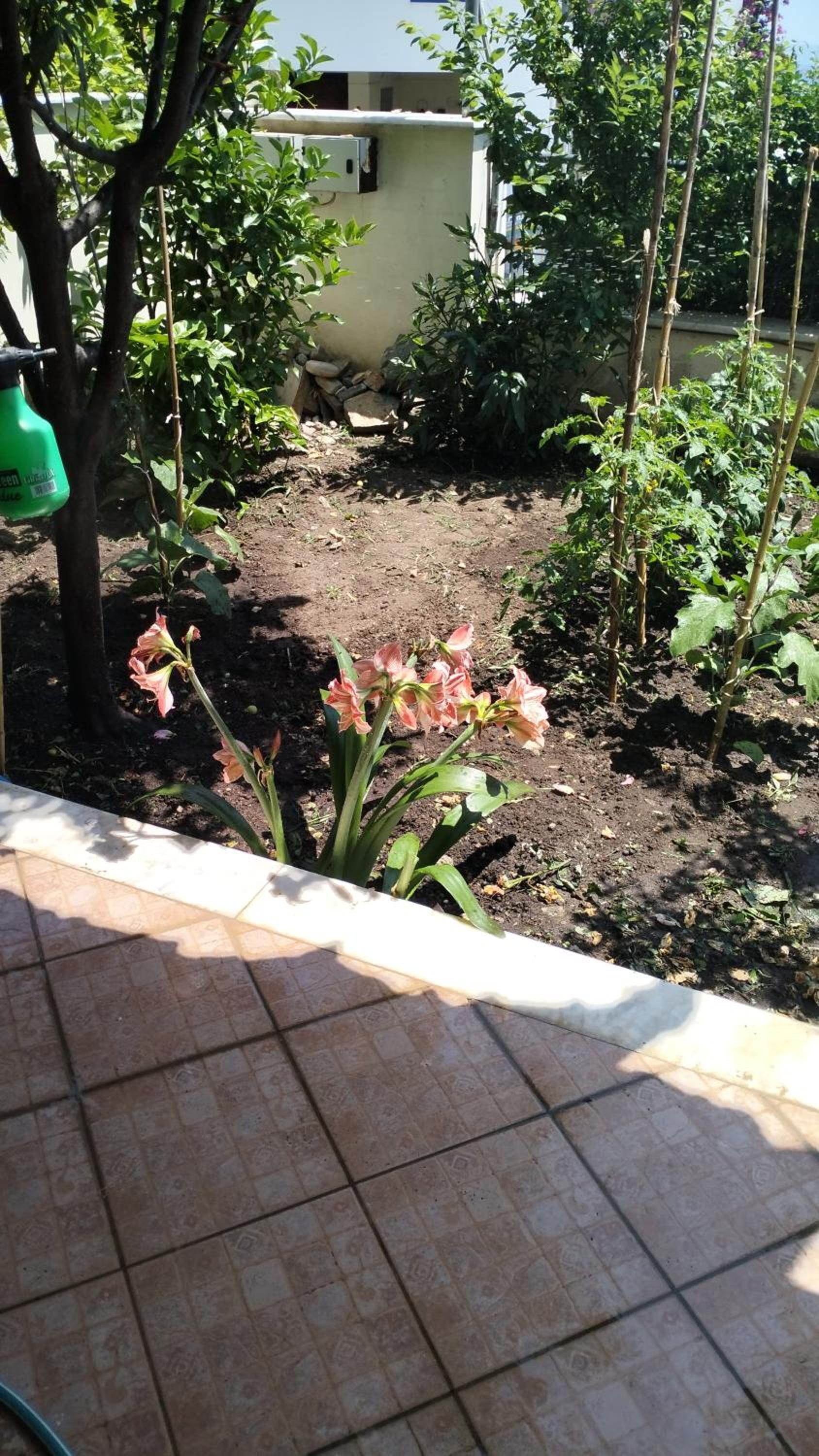 Niki House