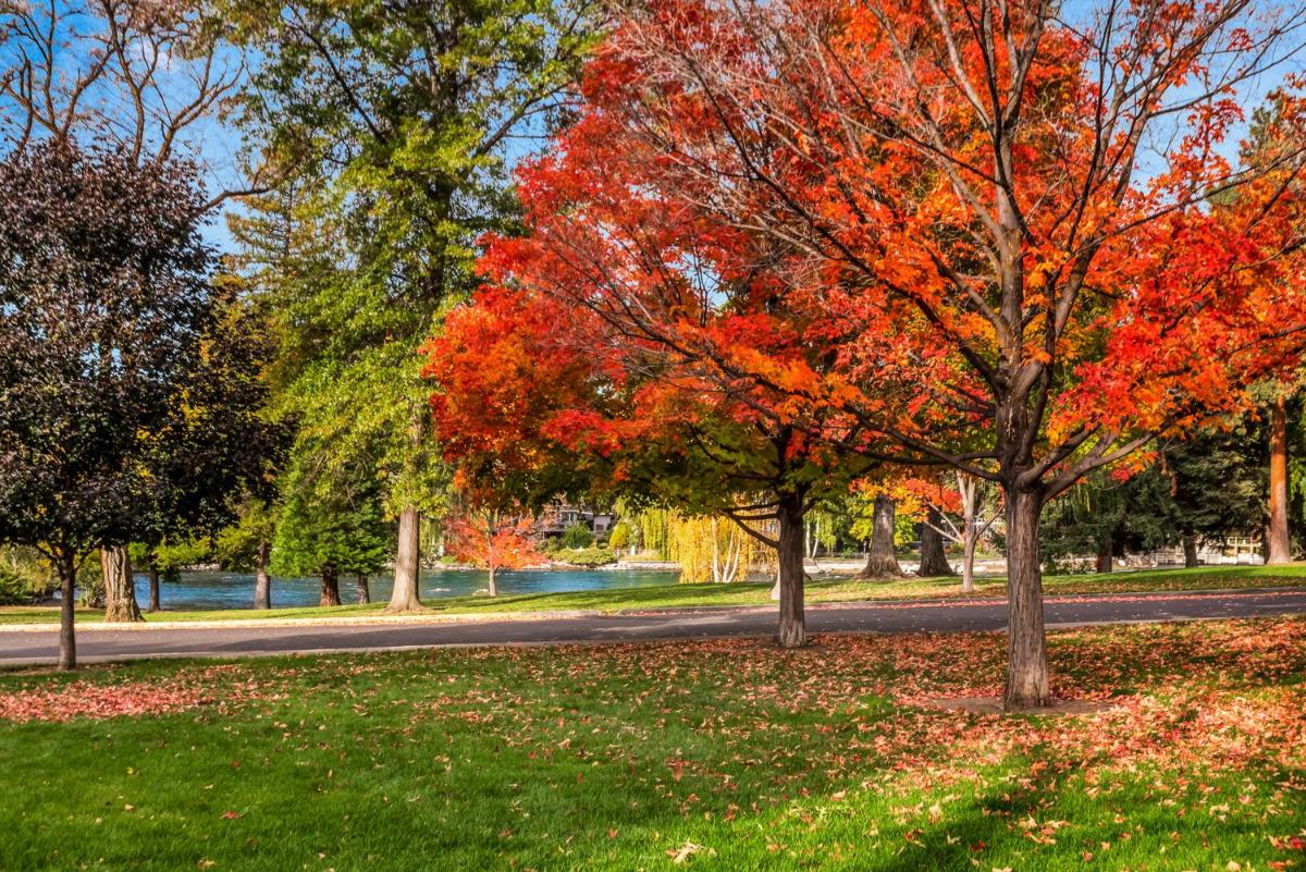 Pioneer Park Rentals Downtown Bend view 4