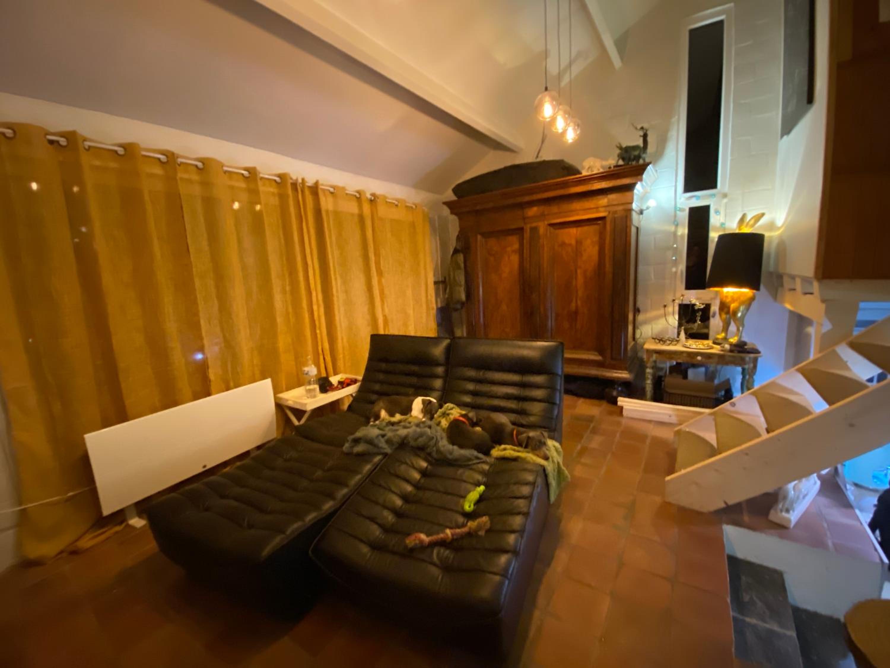 Bonsoy Lovely House Fauve 1