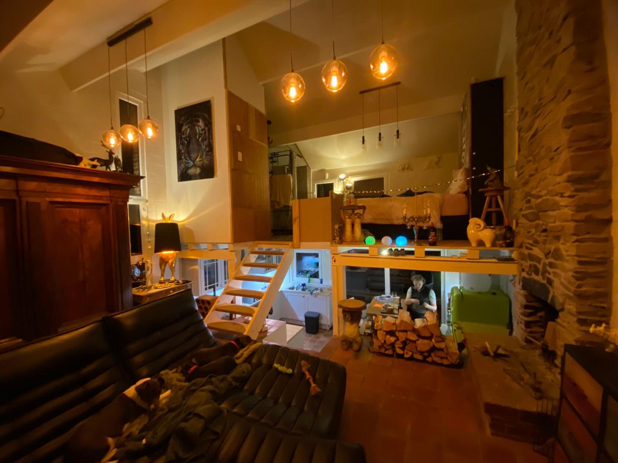 Bonsoy Lovely House Fauve 1