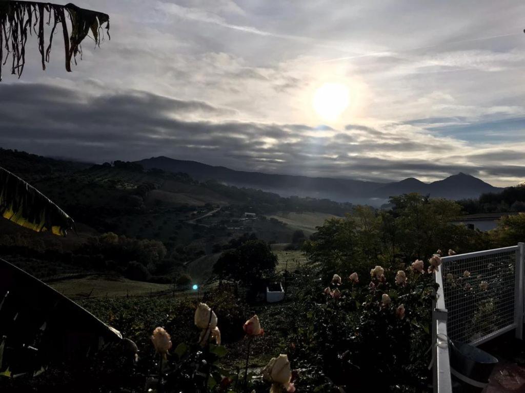 HACIENDA SAN FRANCISCO