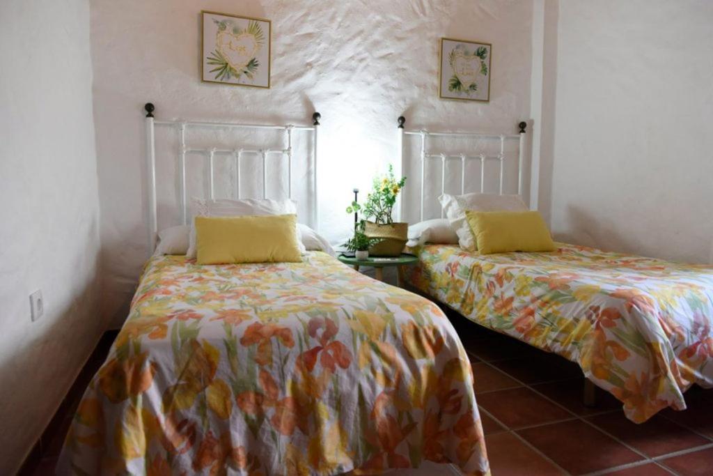 HACIENDA SAN FRANCISCO