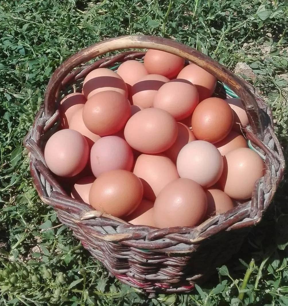 Apartmány Turkovna