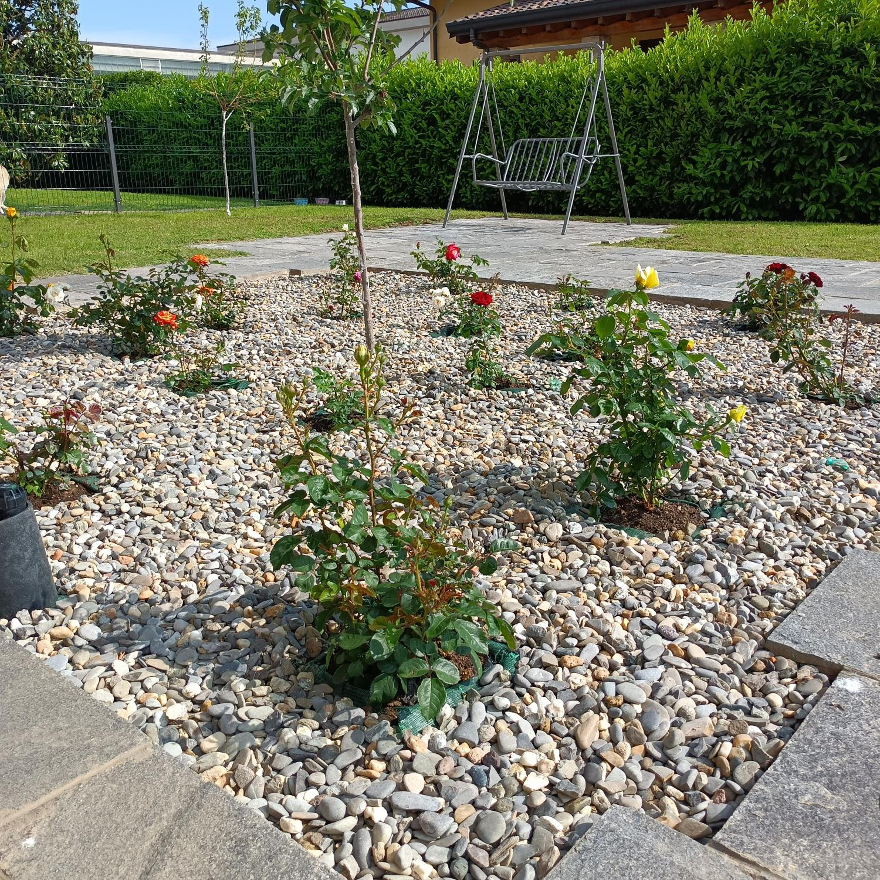 Photo 16
