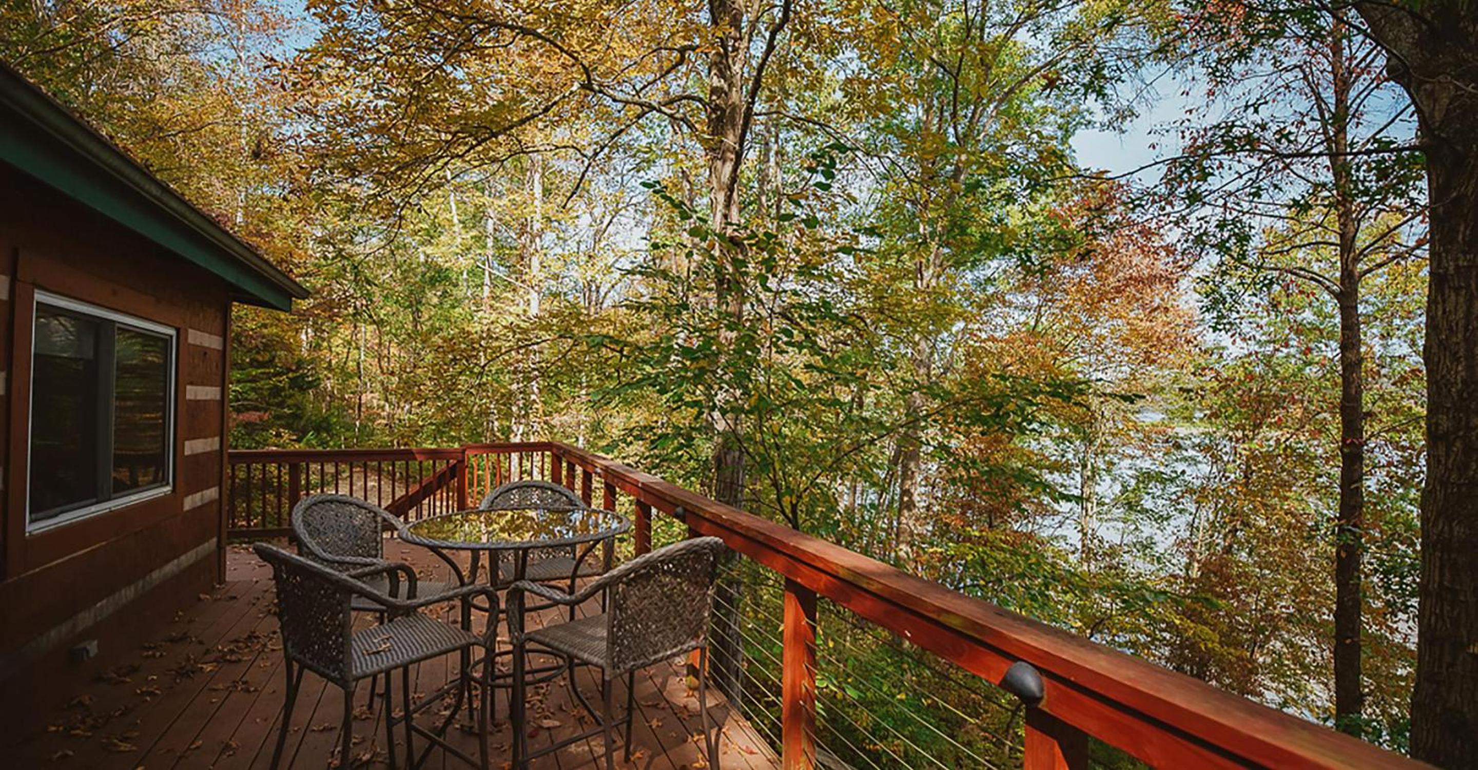 Soaring Eagle Cabin view 5