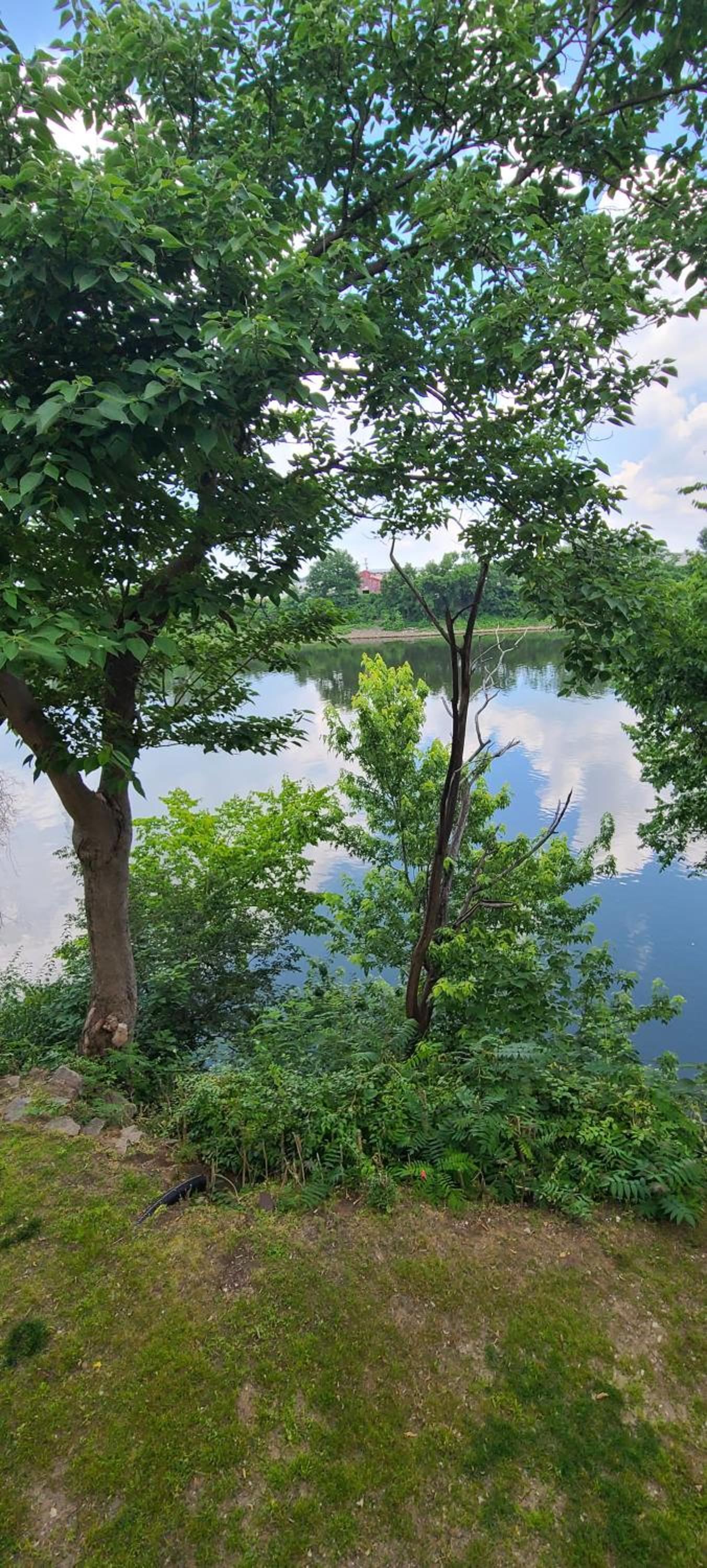 Photograph supplied for Captain's Quarters Riverfront #2