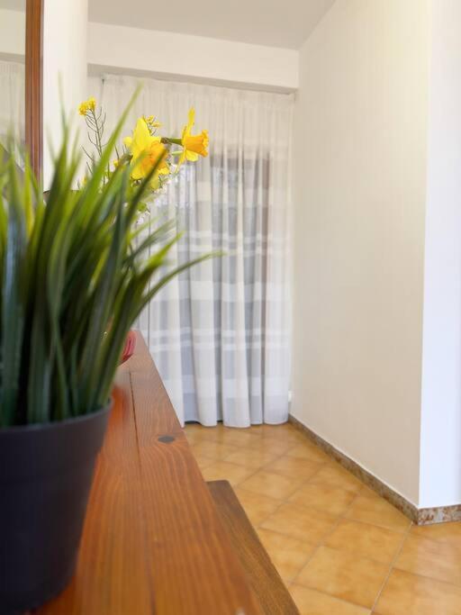 Olympus Apartment