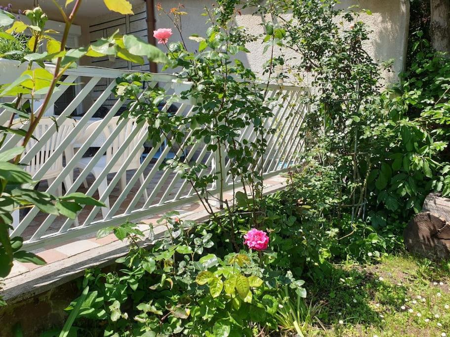 Simay Apartman
