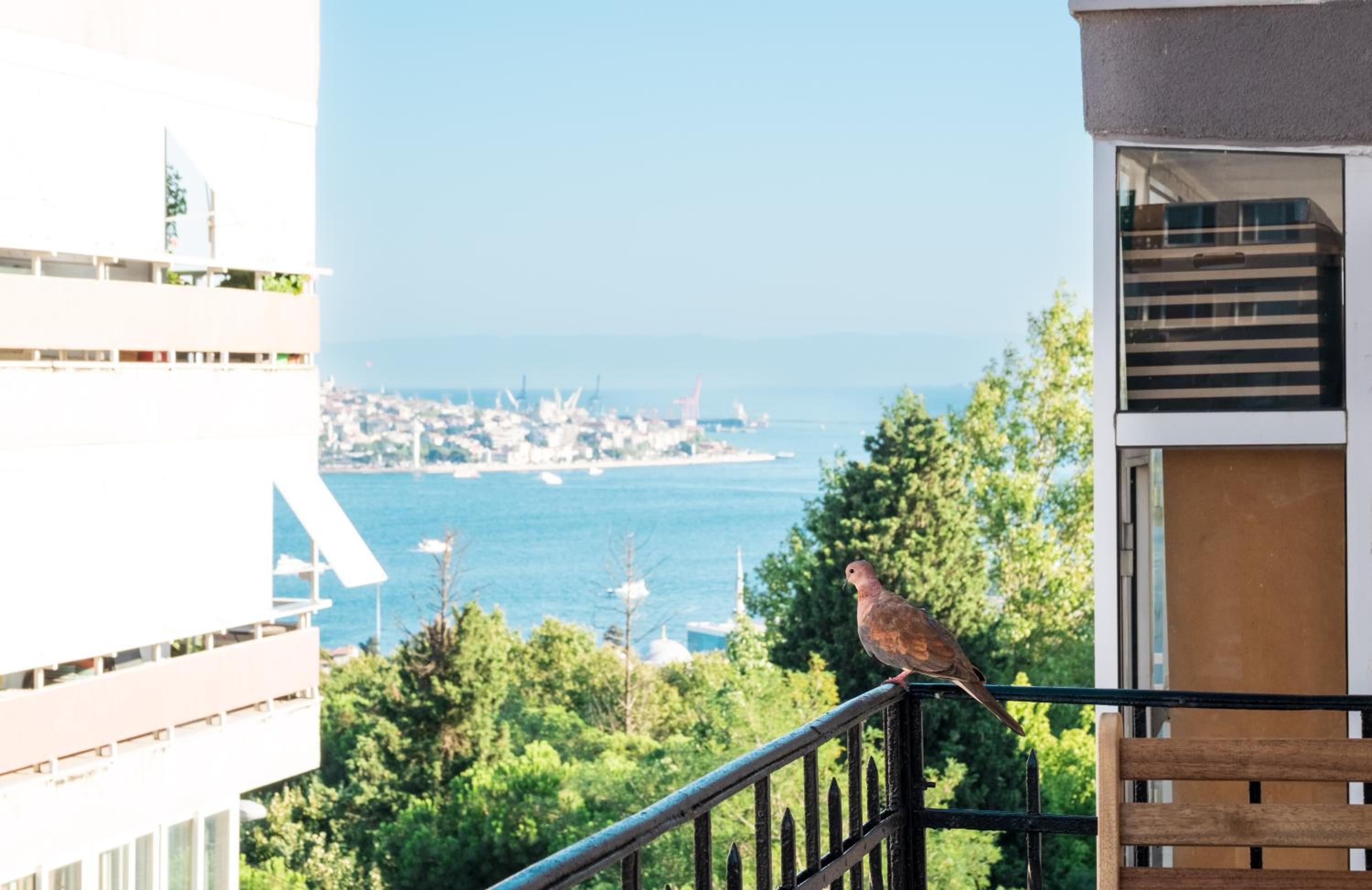 Homie Suites - Historical Apartments in the center of Beşiktaş