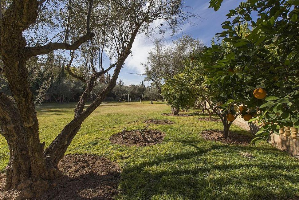Villa Zahra Palmeraie