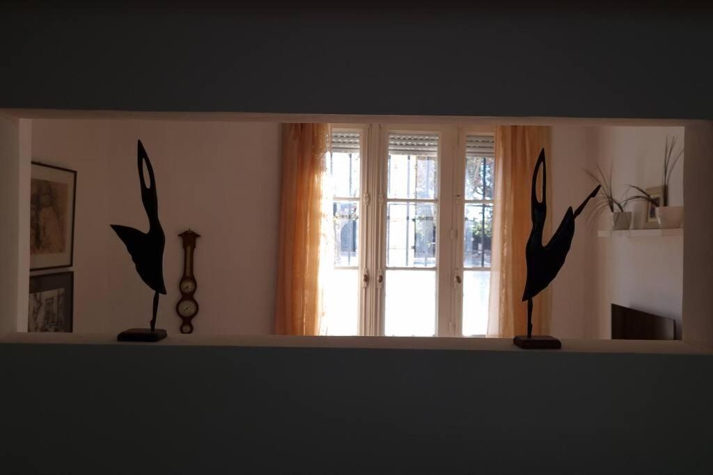 Libertador recoleta