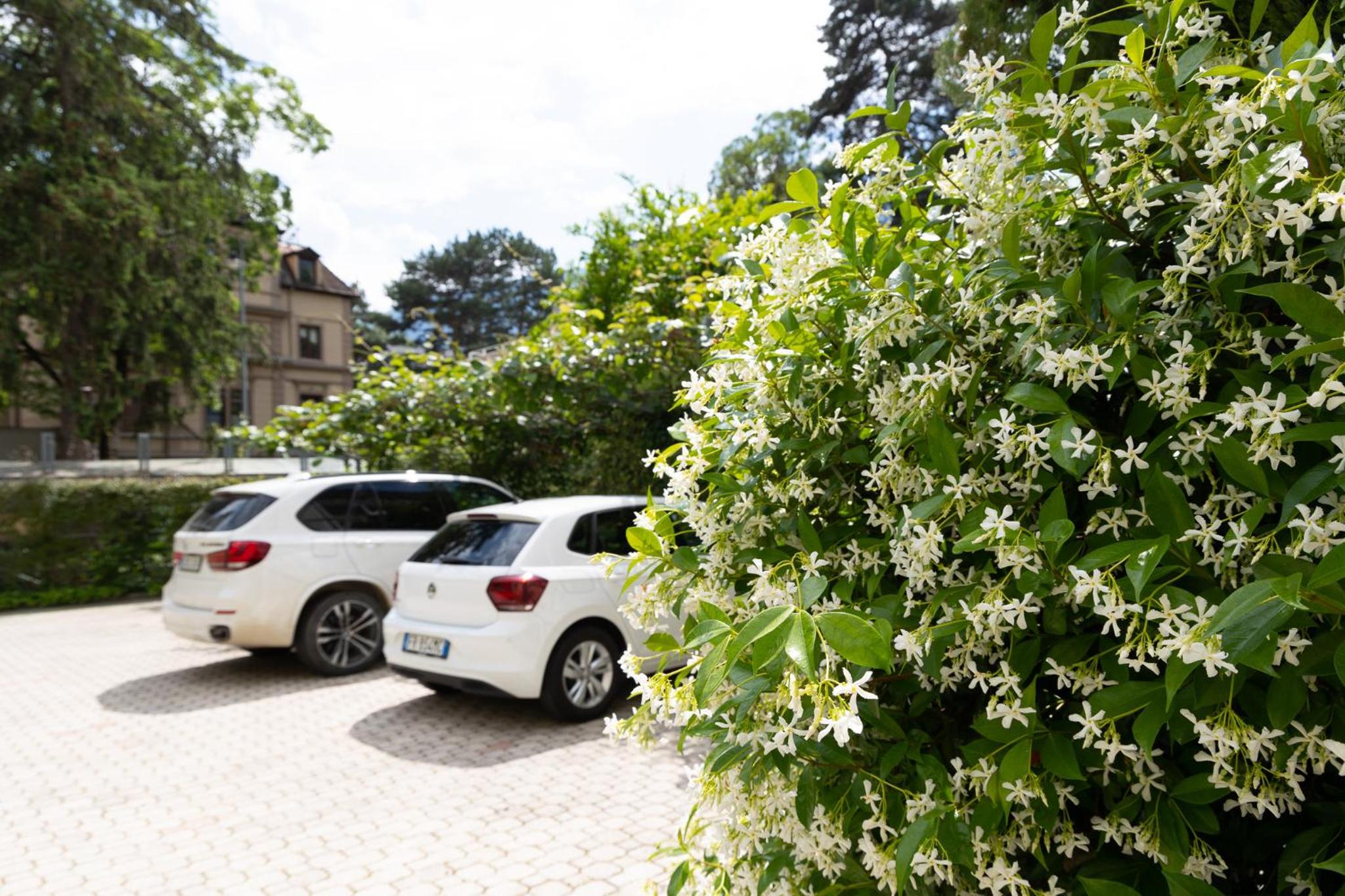 Luxury Apartment Villa Ortler