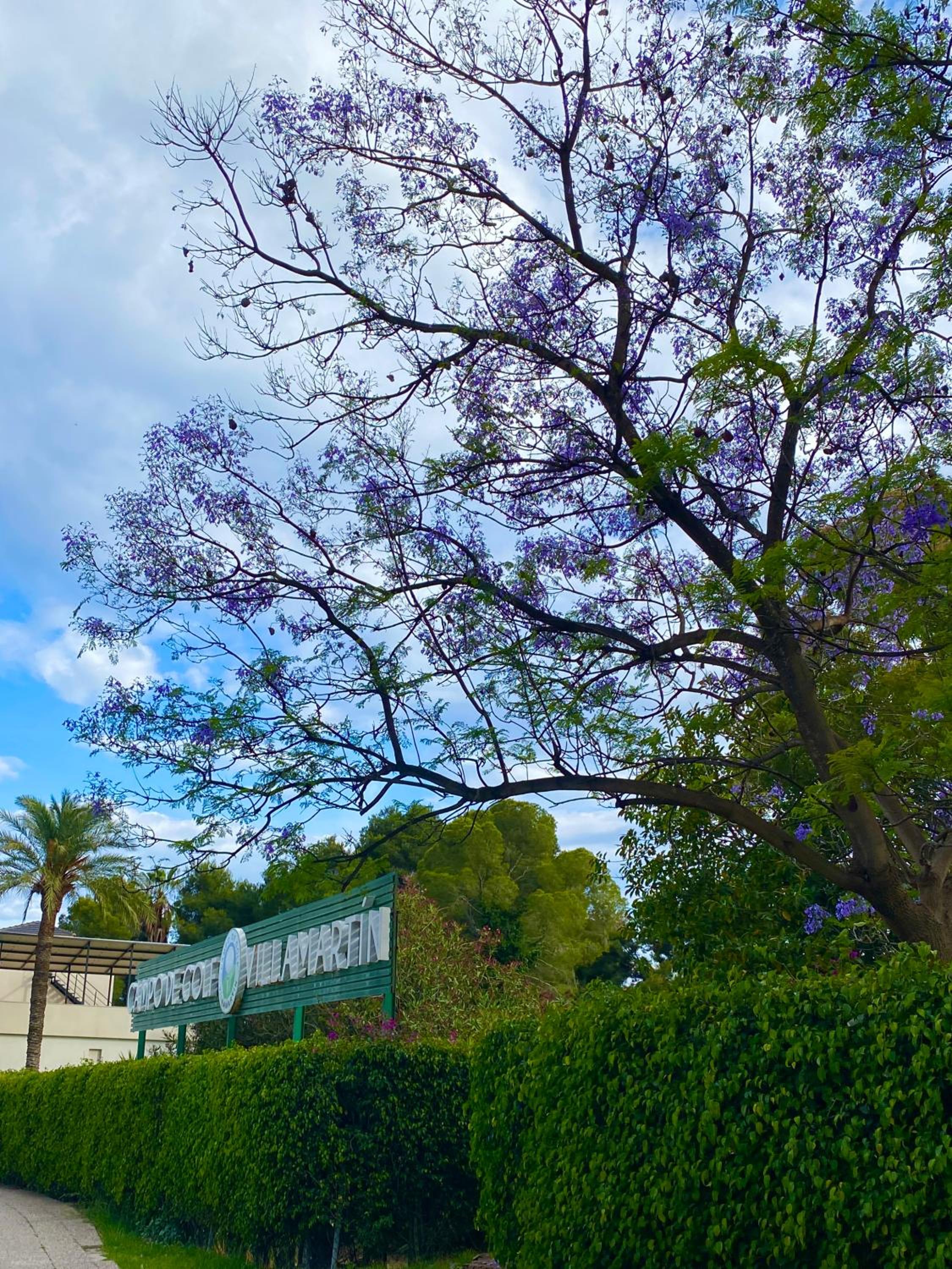 Golf Sun Bungalow Villamartin