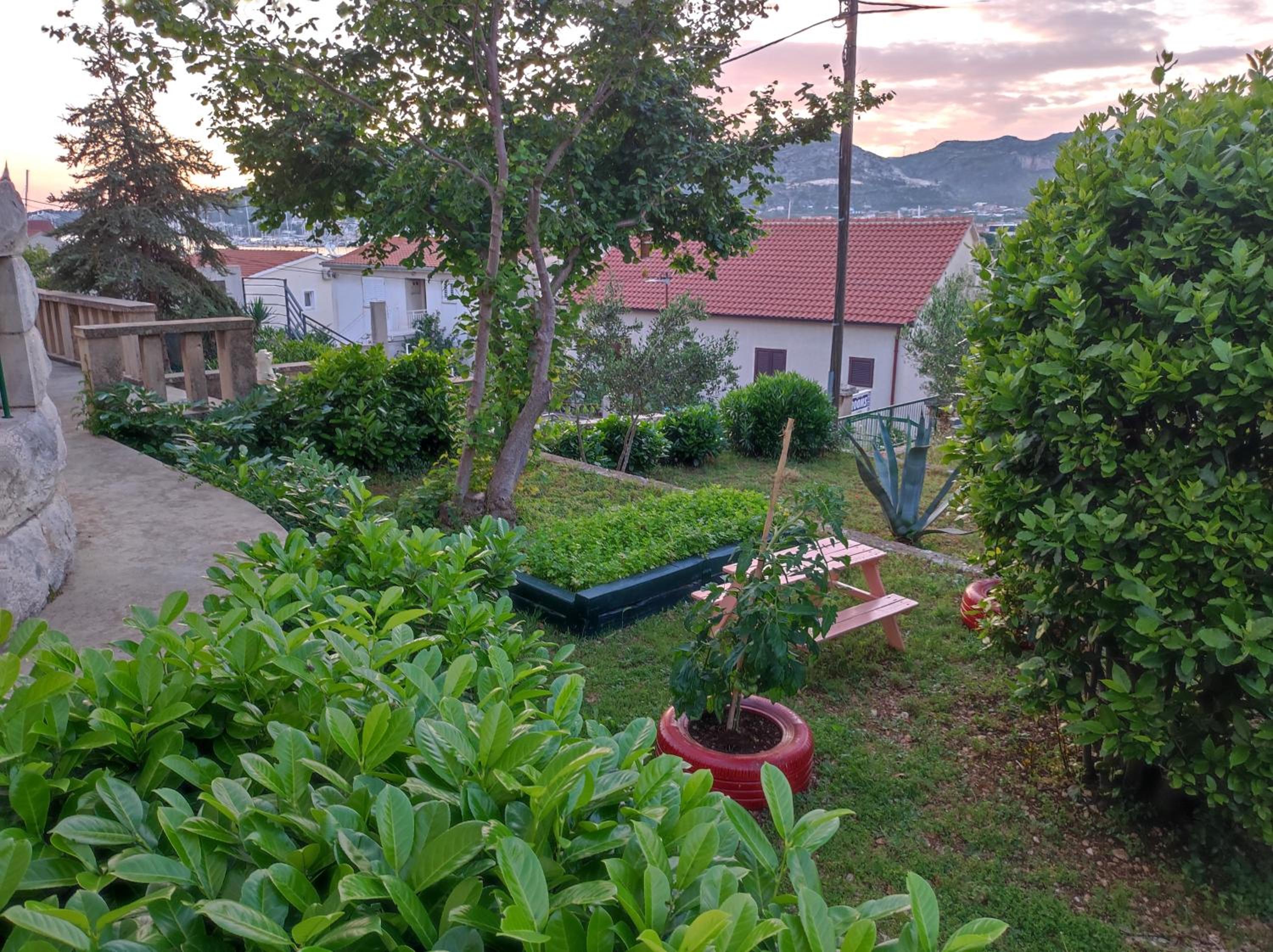 Photo 17