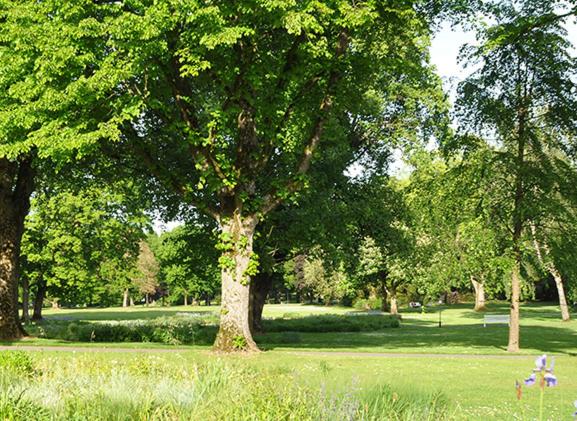 Parkblick Bad Driburg