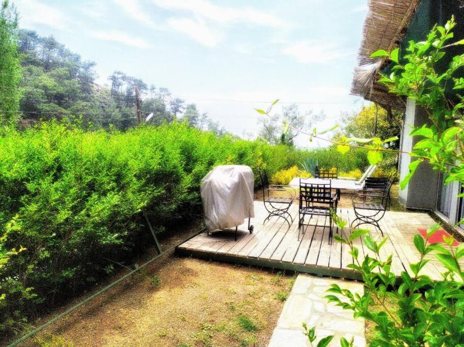 Villa Patara (Kalkan-İslamlar) view 4