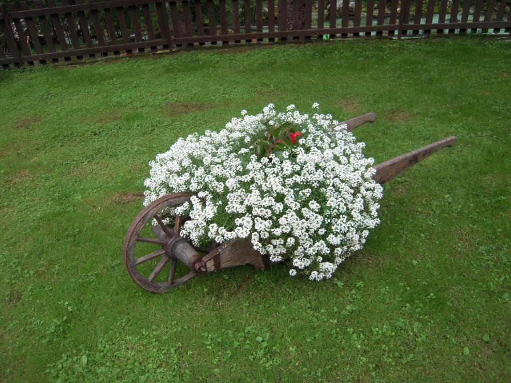 Photo 32