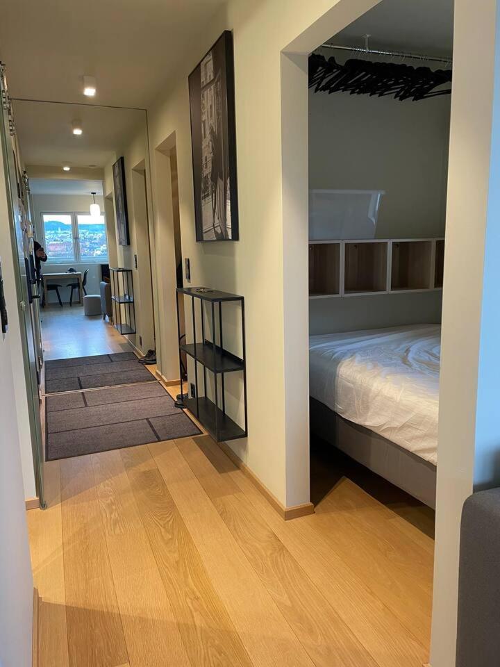 Frognervein Terrace Penthouse